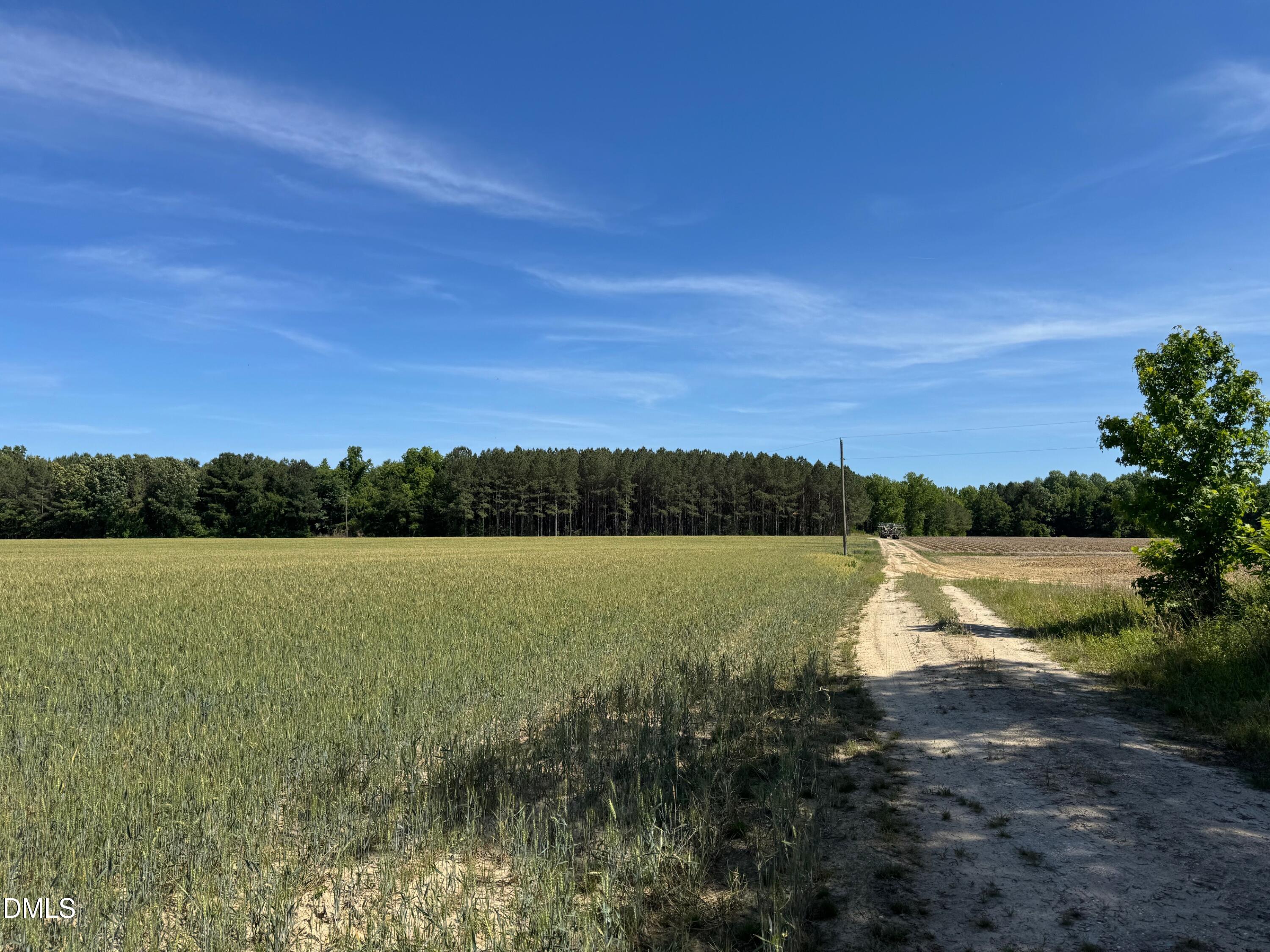 0 Stevens Sausage Road Property Photo 2