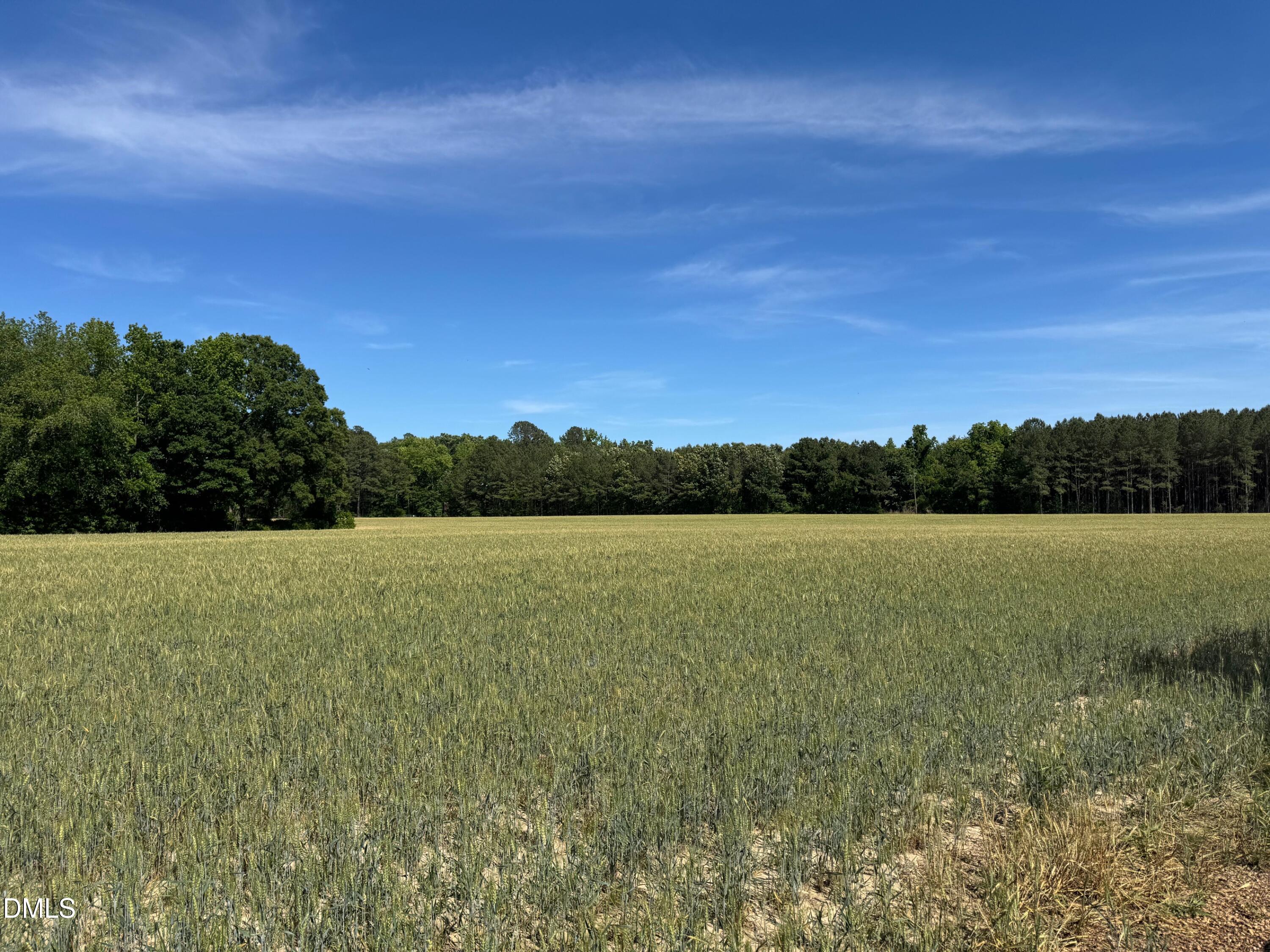 0 Stevens Sausage Road Property Photo 3