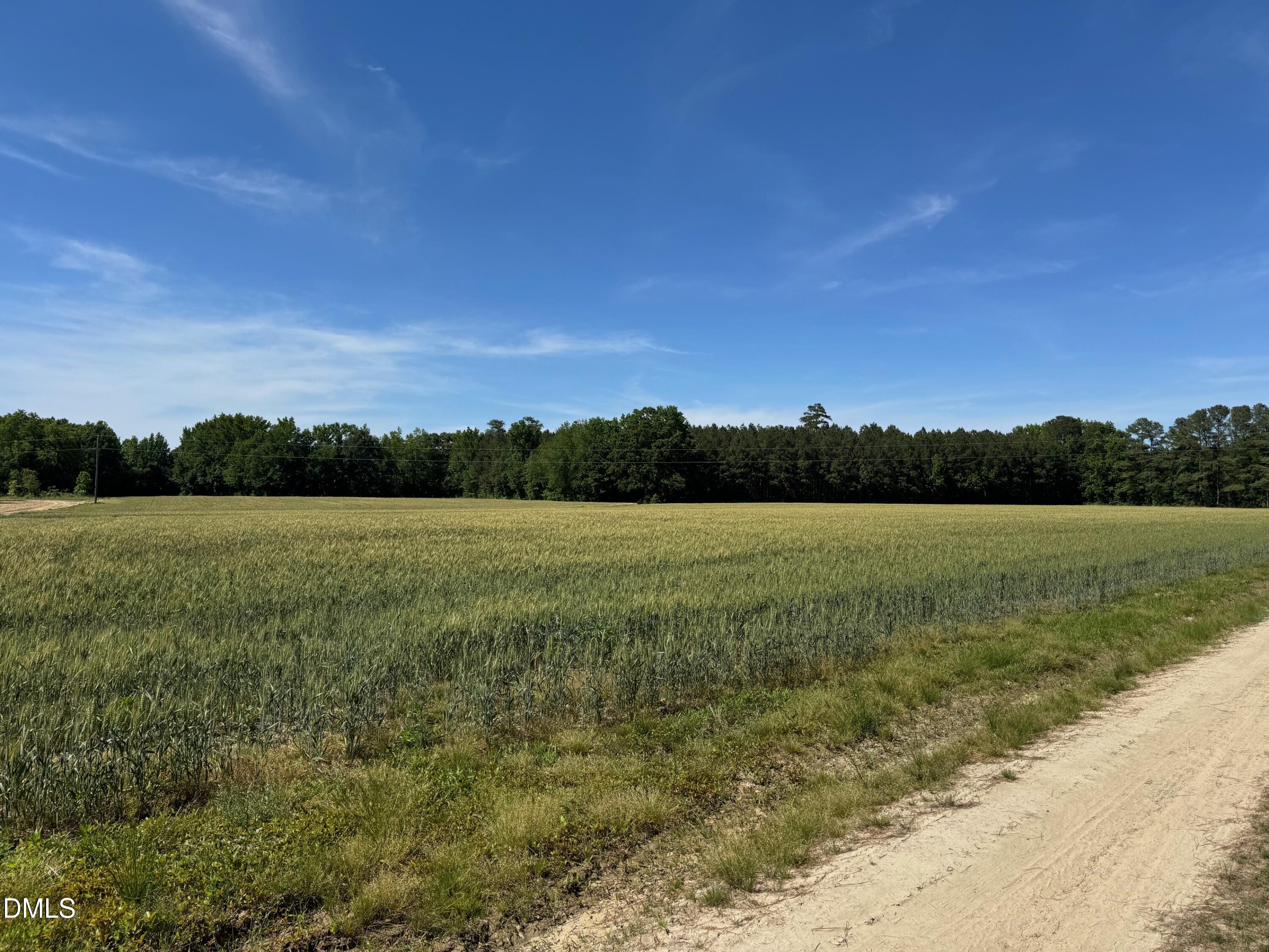 0 Stevens Sausage Road Property Photo 4