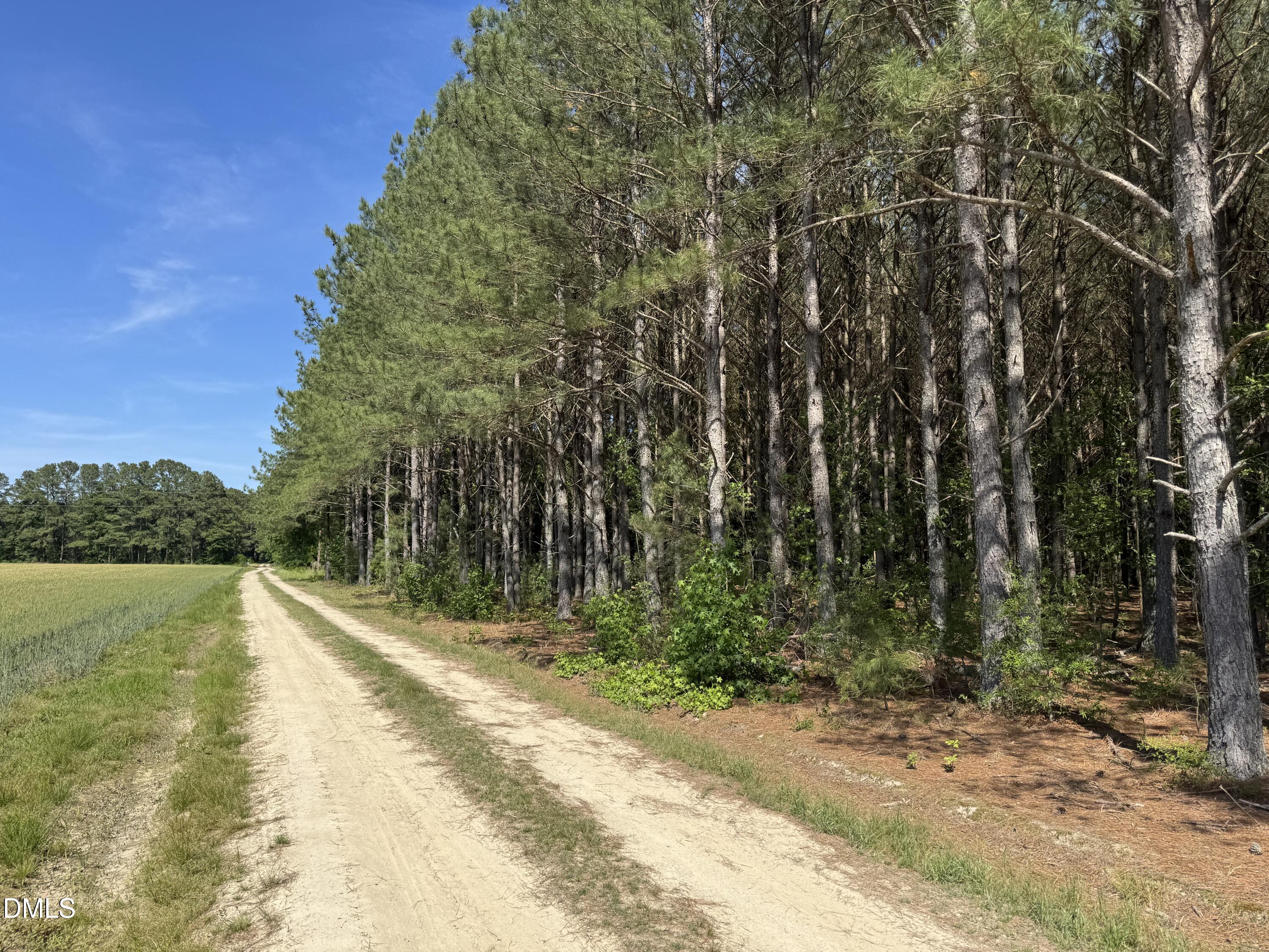 0 Stevens Sausage Road Property Photo 6