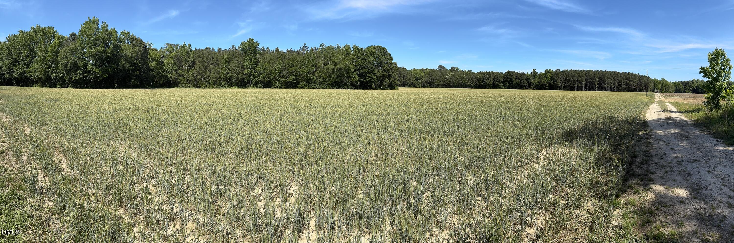 0 Stevens Sausage Road Property Photo 8