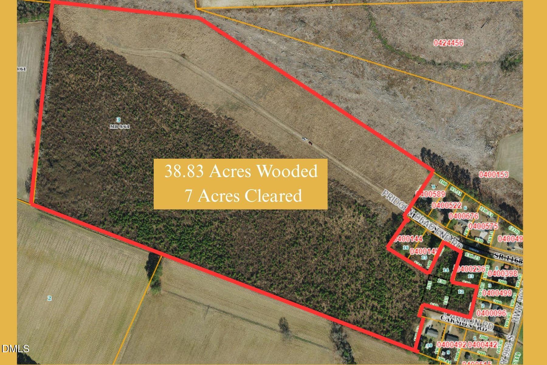 Tbd Pridgen Dead End Road Property Photo 1