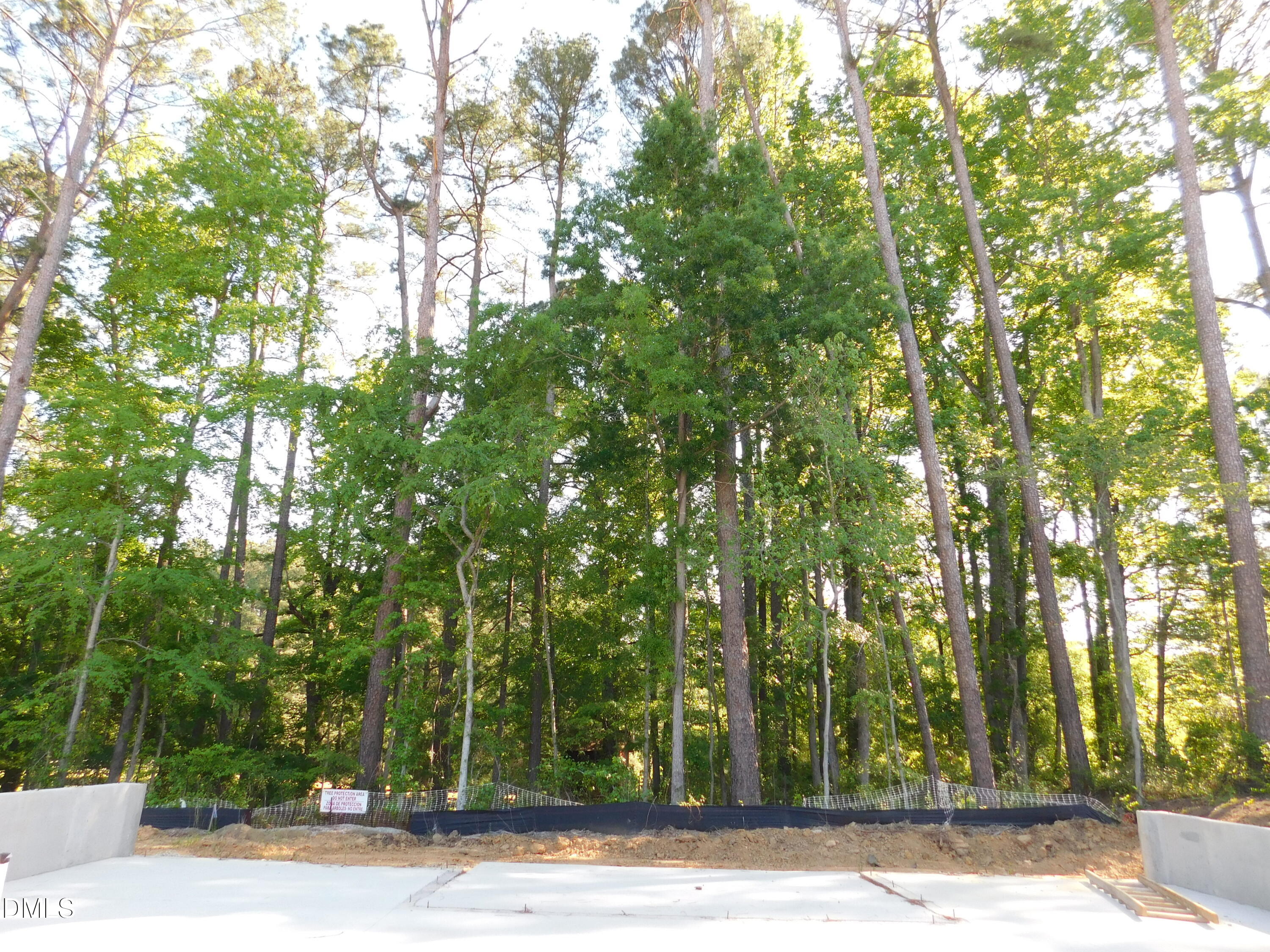2546 Vining Branch Way Property Photo 4