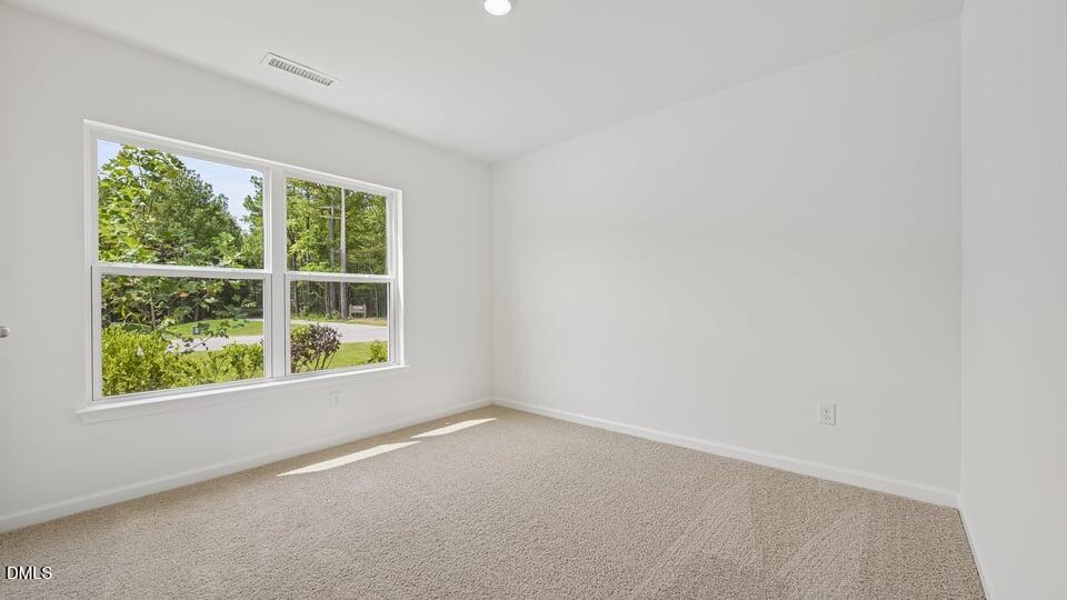 86 Richmond Run Property Photo 25