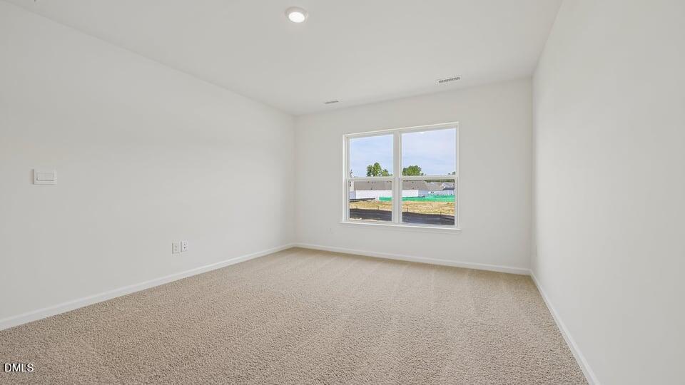 86 Richmond Run Property Photo 27