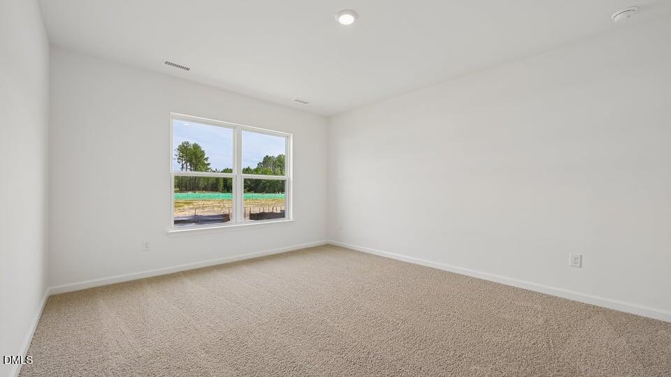 86 Richmond Run Property Photo 30