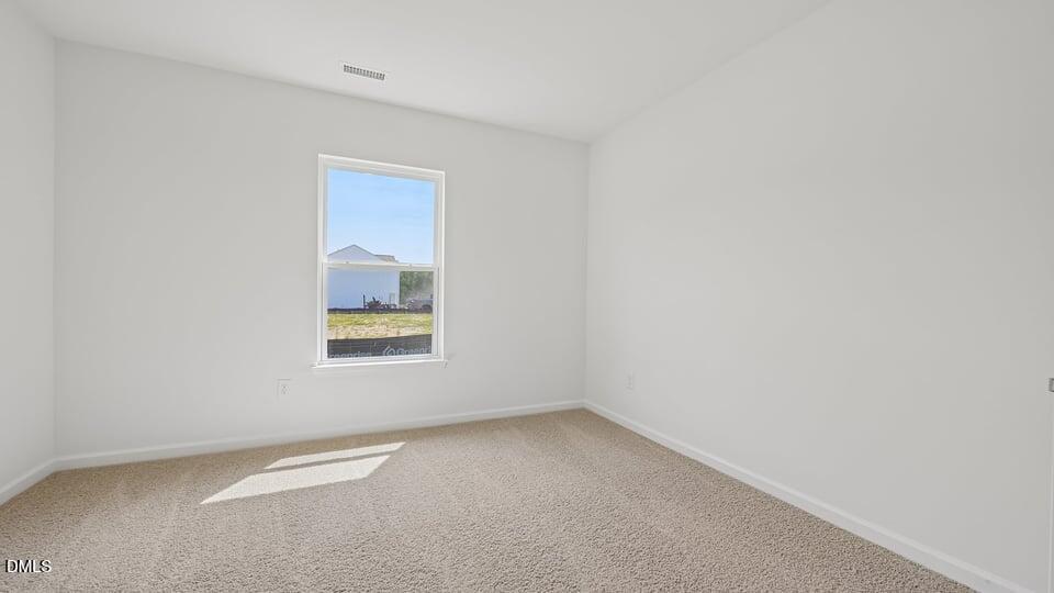 86 Richmond Run Property Photo 33