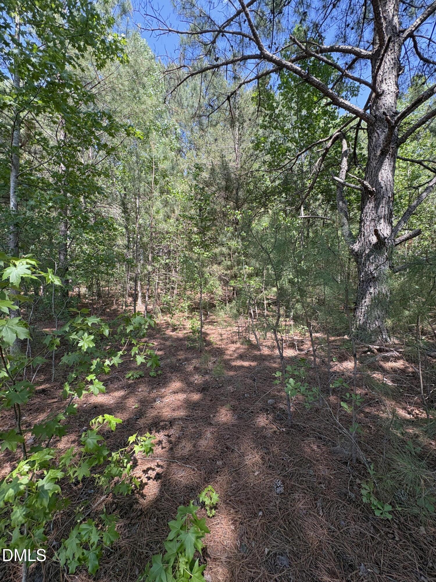 0 Jaback Property Photo 16