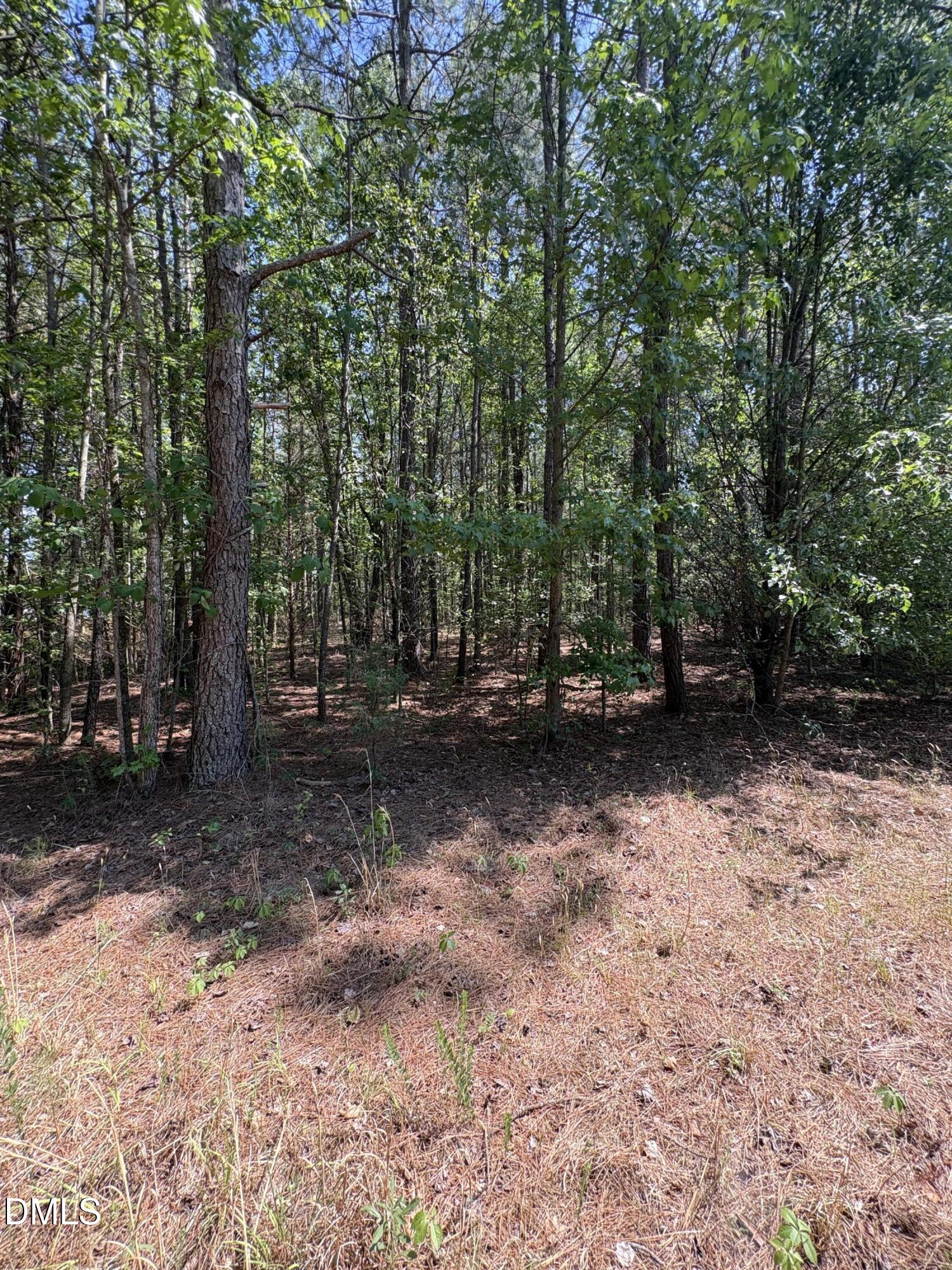 0 Jaback Property Photo 19