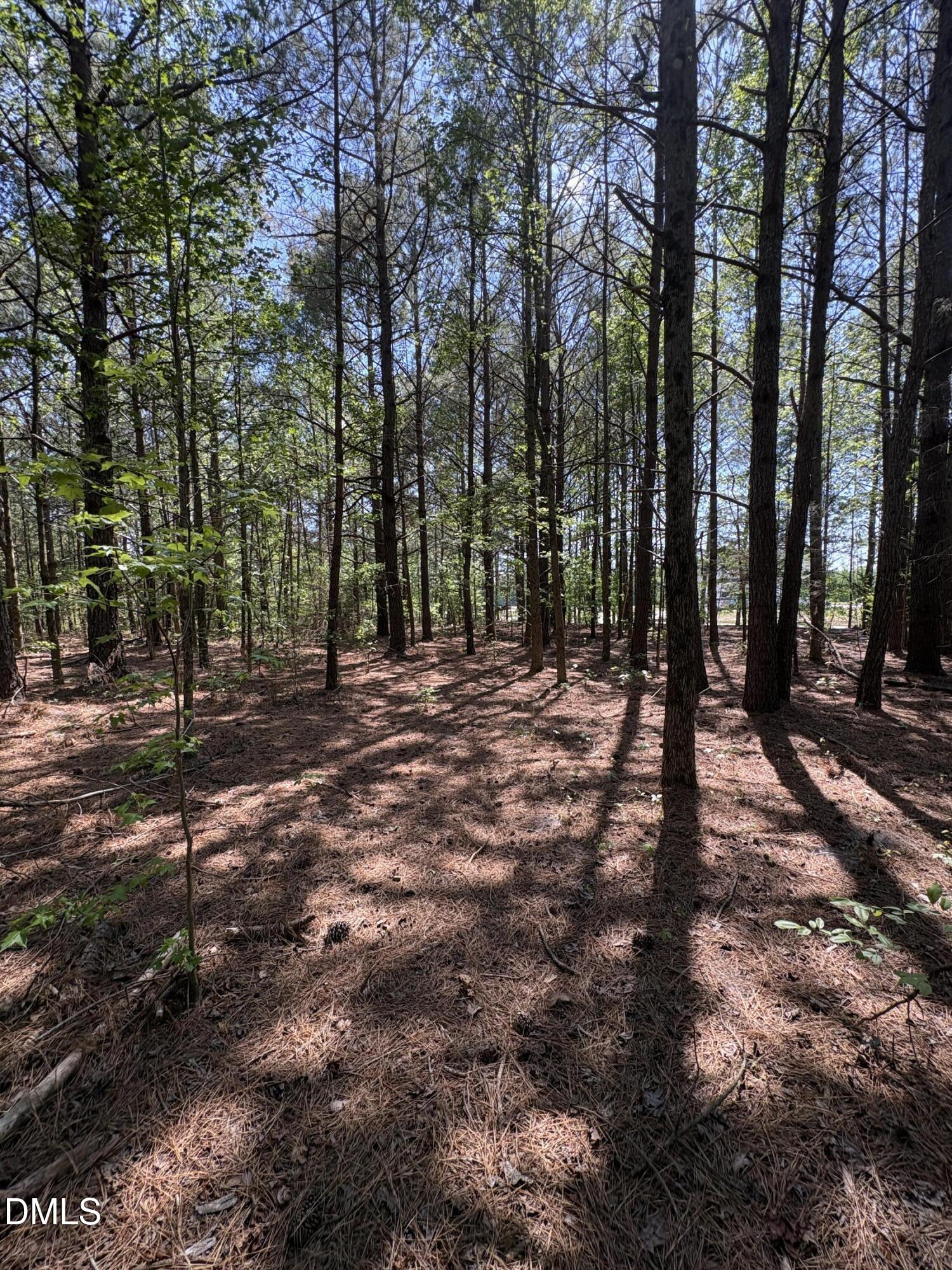 0 Jaback Property Photo 20