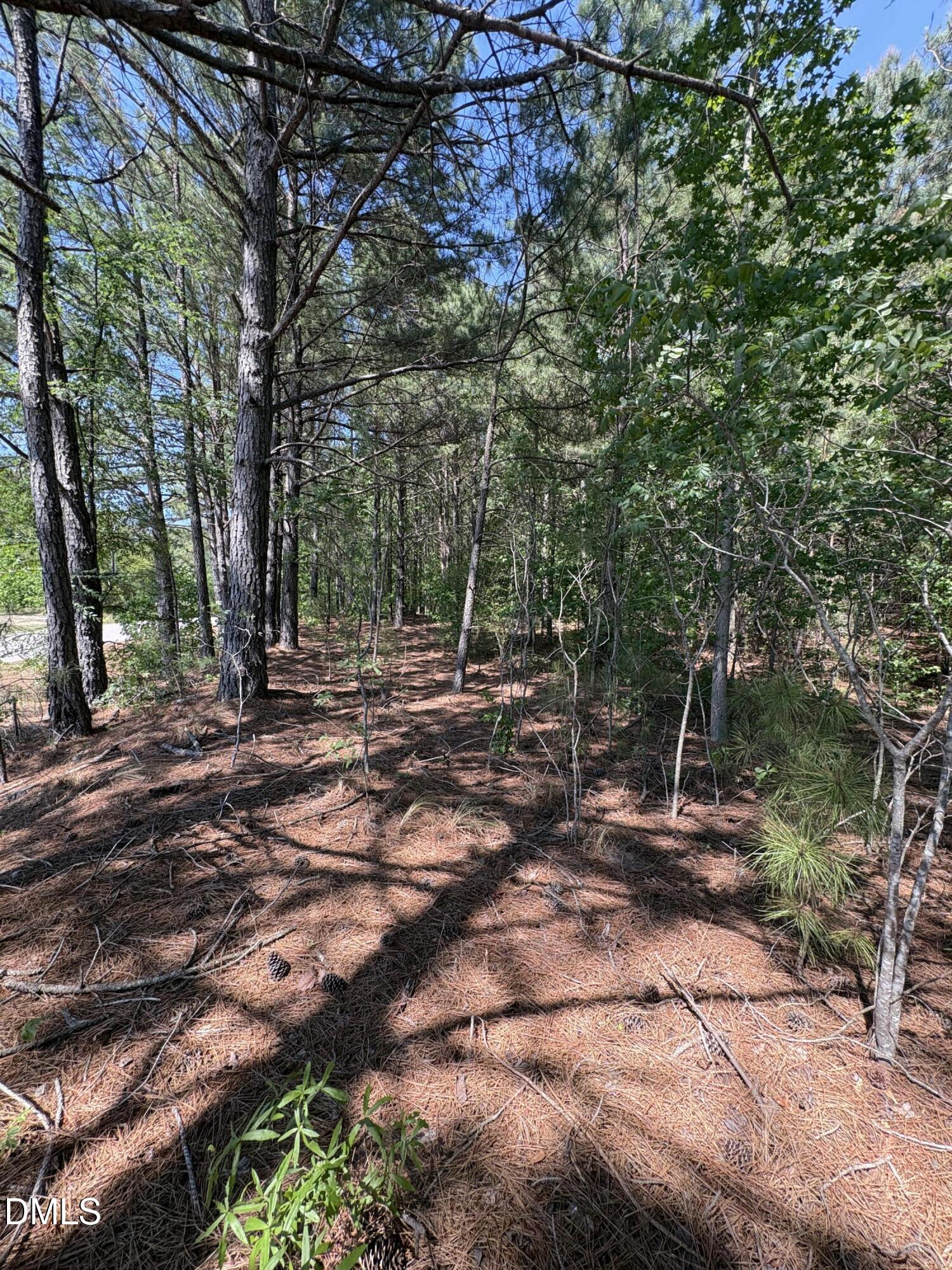 0 Jaback Property Photo 21