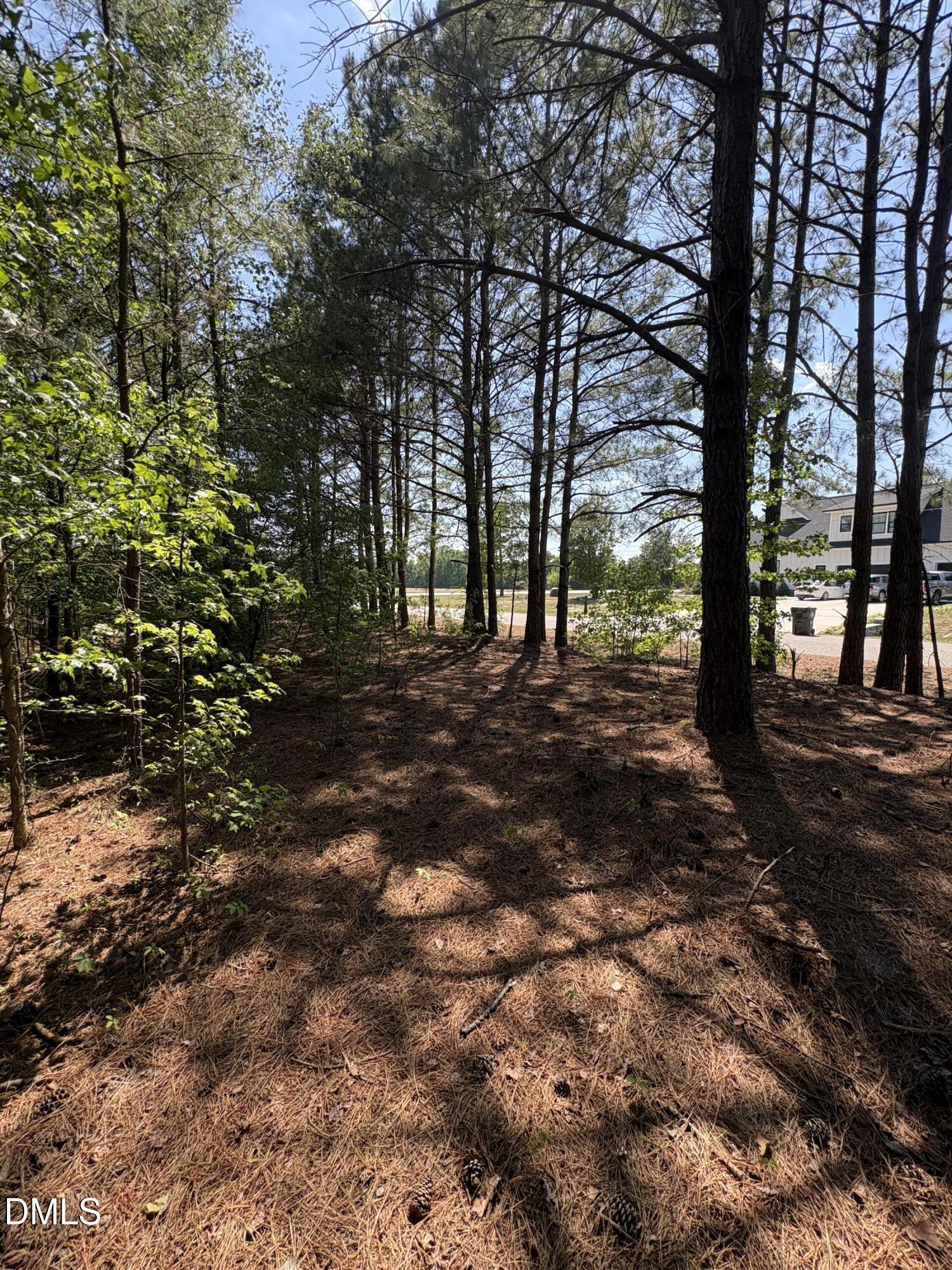 0 Jaback Property Photo 22