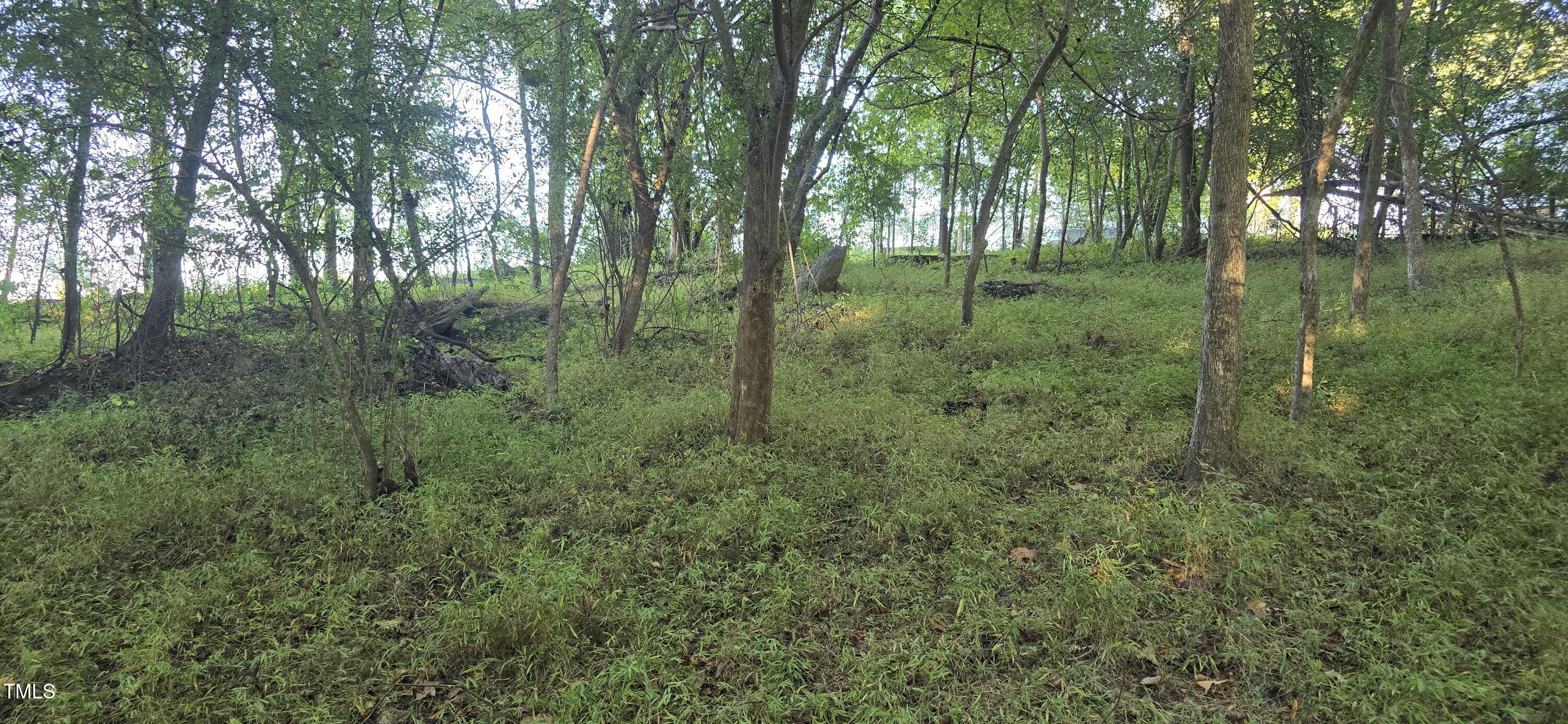 5101 Royal Acres Road Property Photo 9