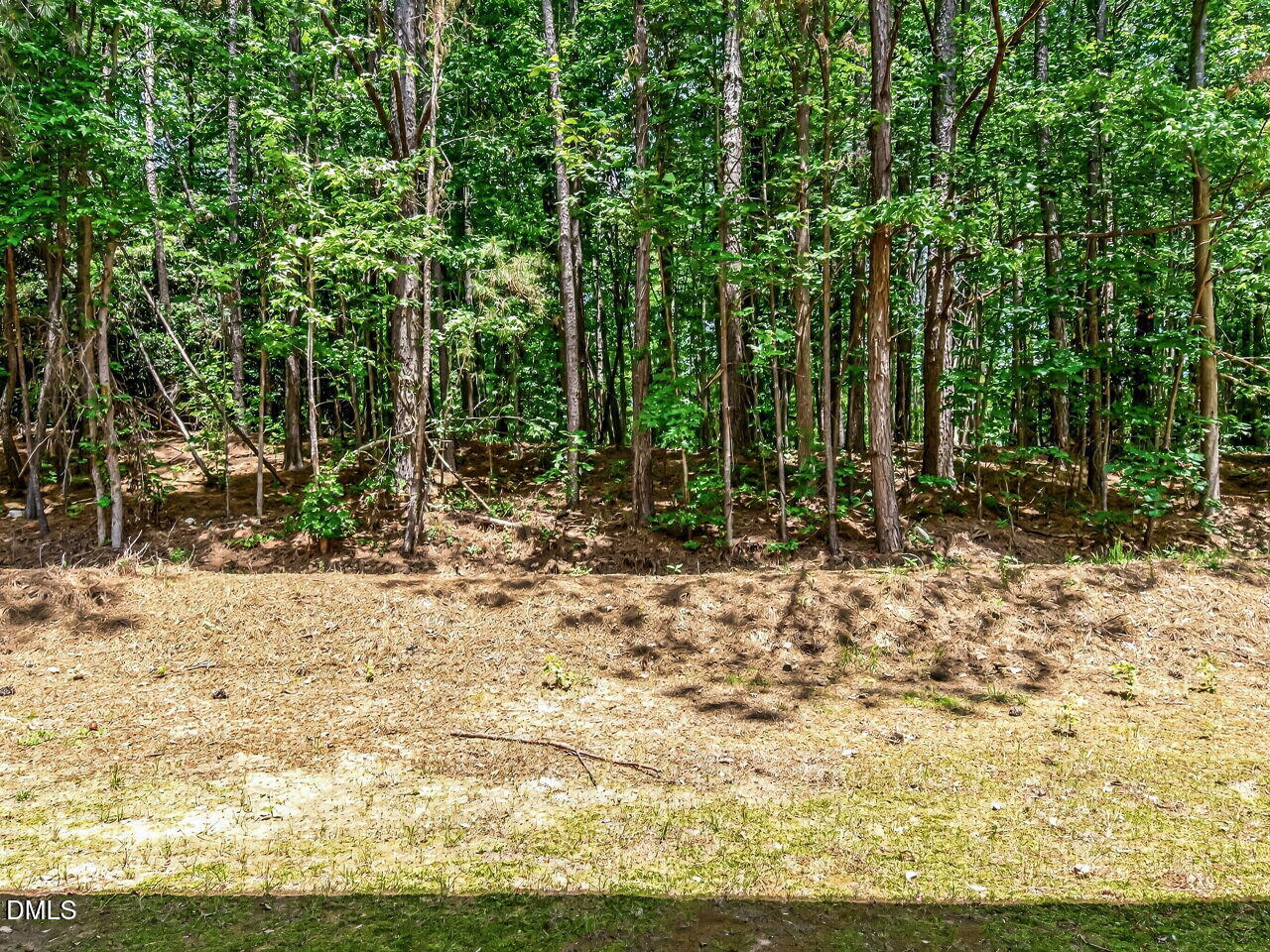 3000 Trailwood Pines Lane 103 Property Photo 21