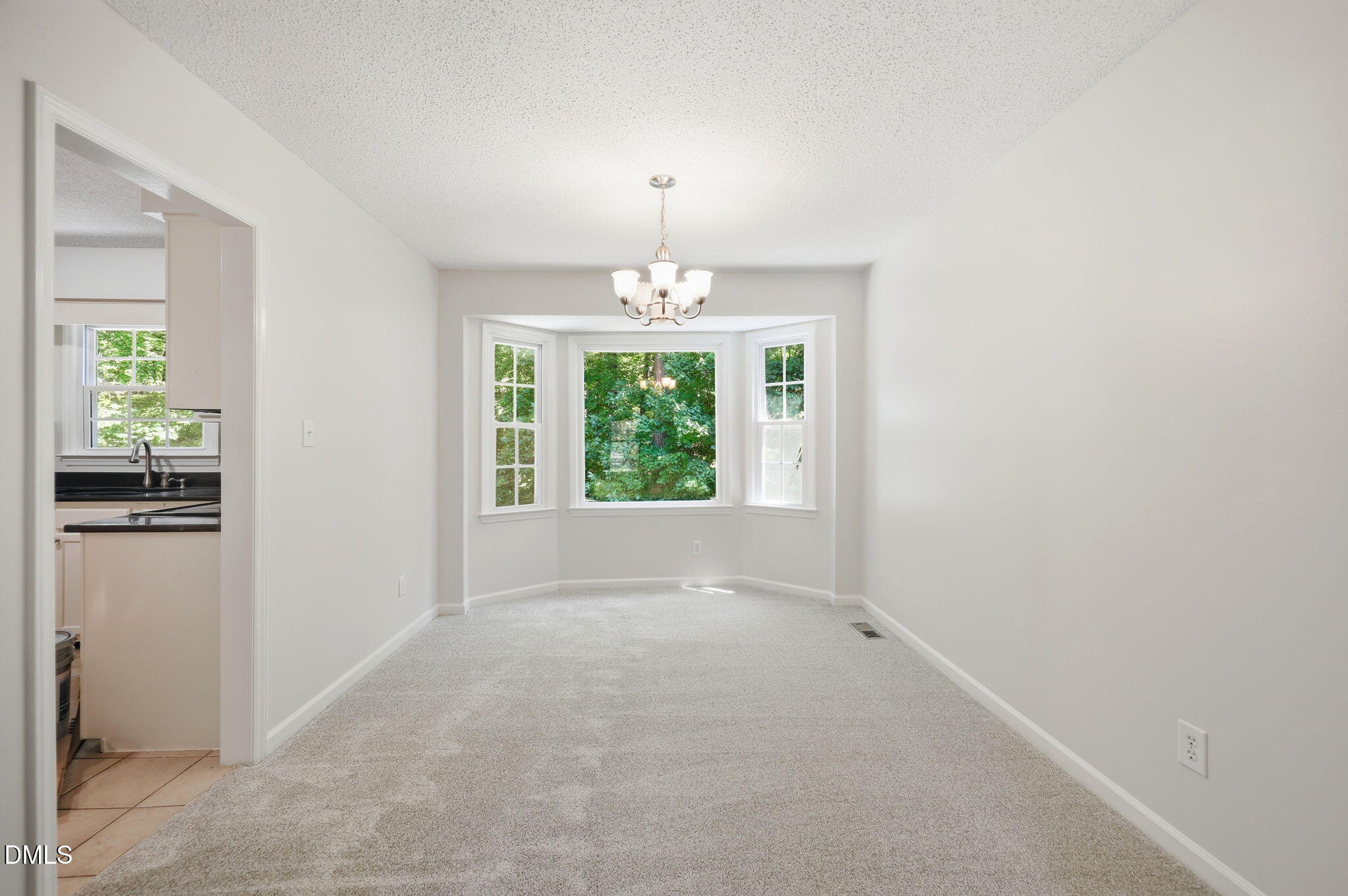 104 Swiftwater Court Property Photo 8