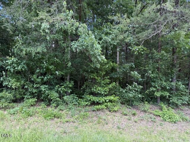 2.028 Mt Willing Road Property Photo 1