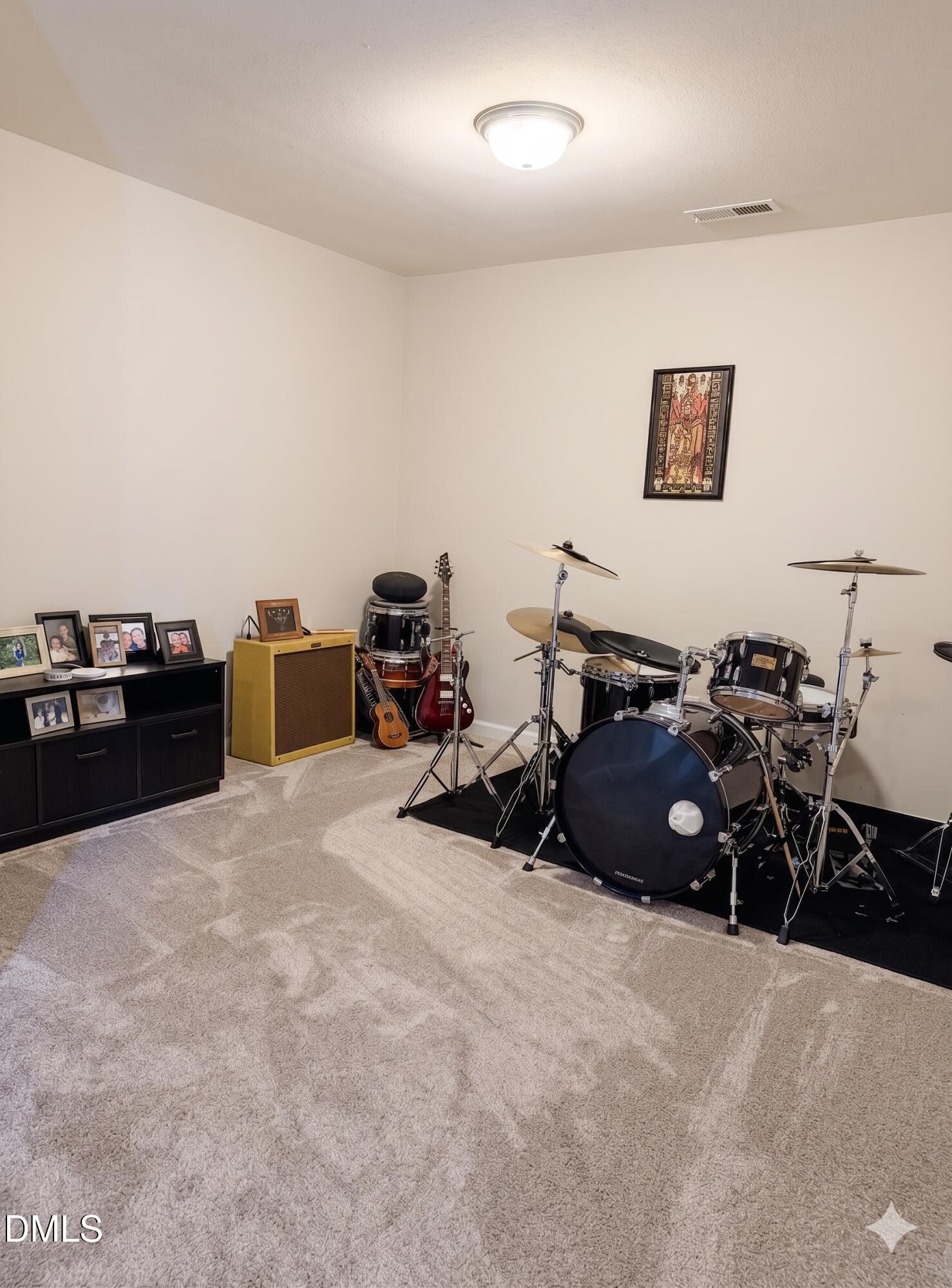 2920 Maidenhair Drive Property Photo 22