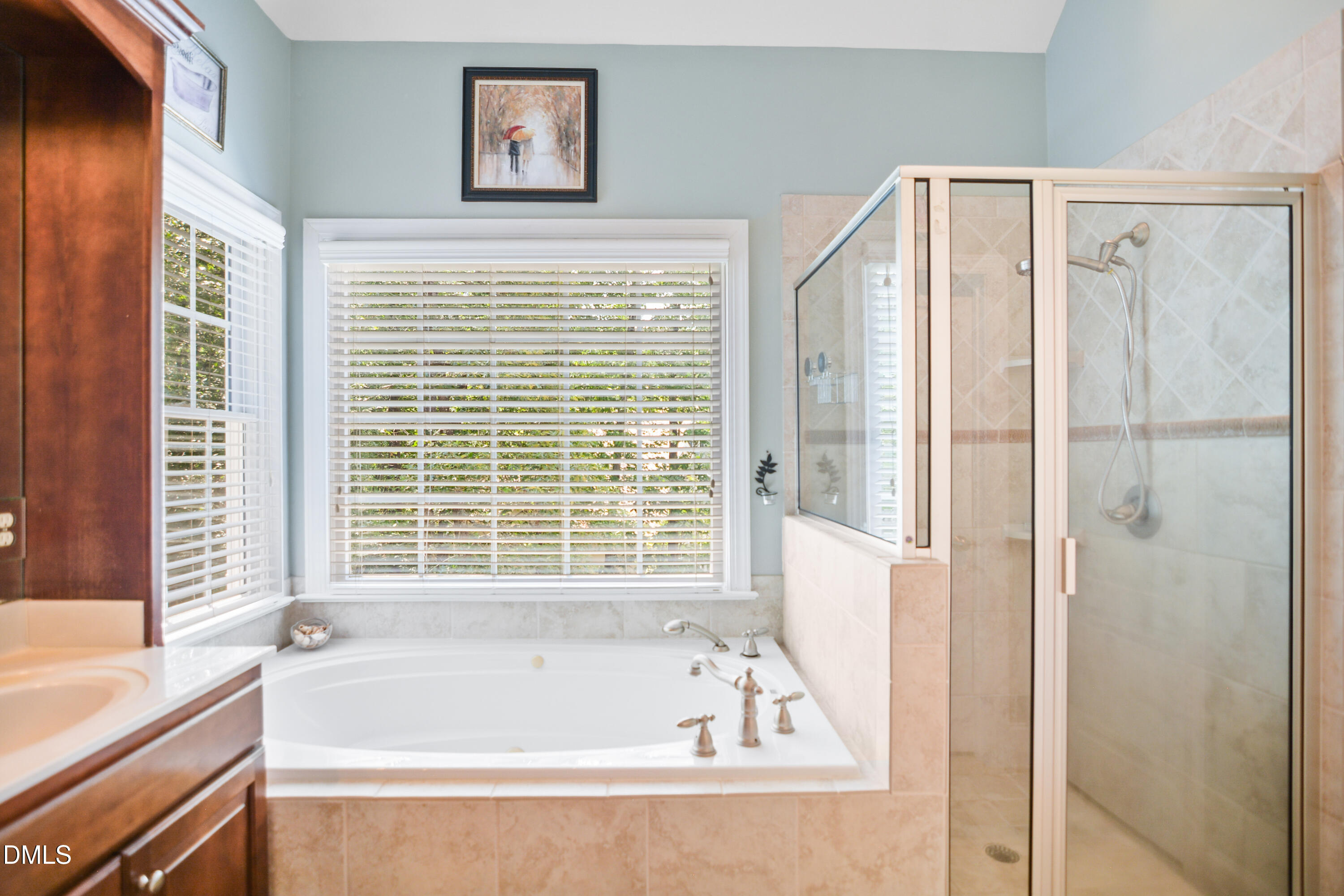 8488 Falkirk Ridge Court Property Photo 26