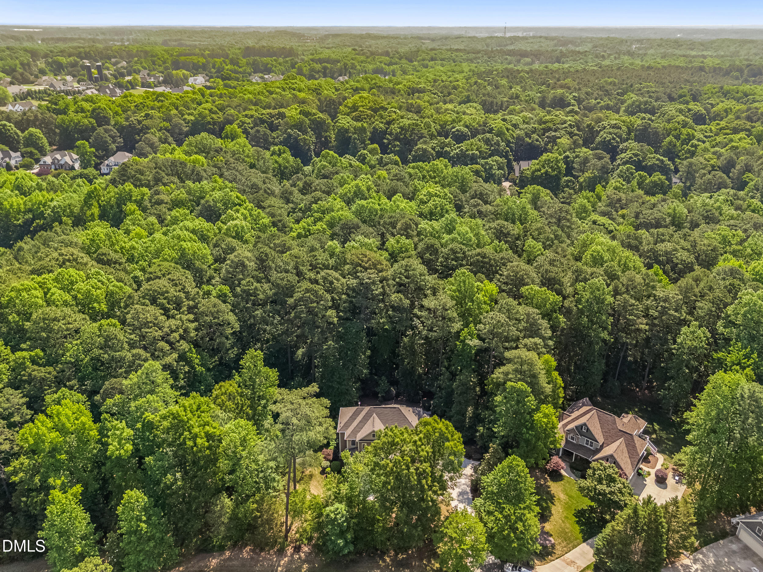 8488 Falkirk Ridge Court Property Photo 66