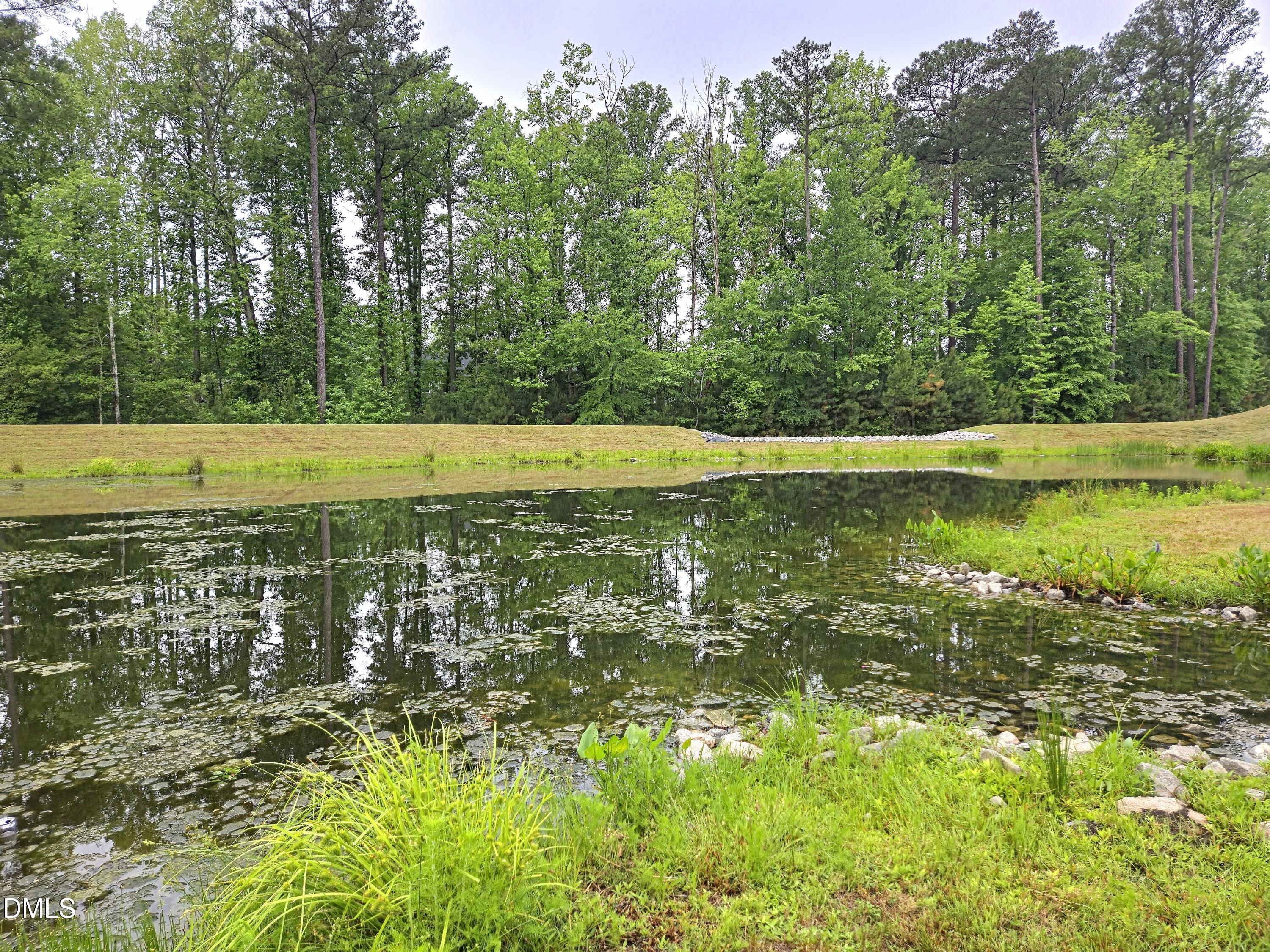 700 Carraway Garden Drive Property Photo 48