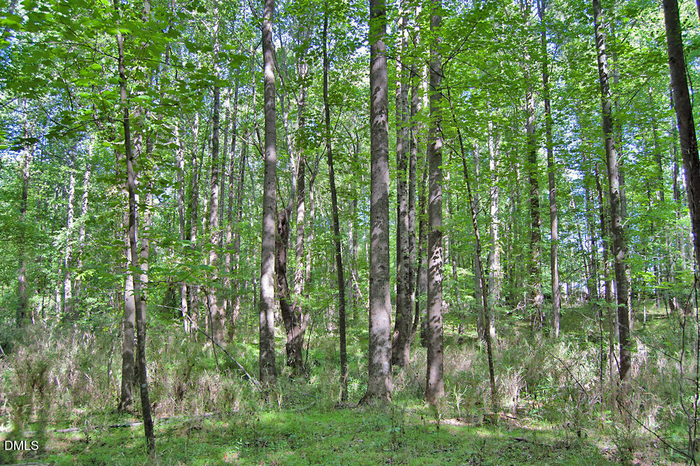 5305 Panther Creek Drive Property Photo 2