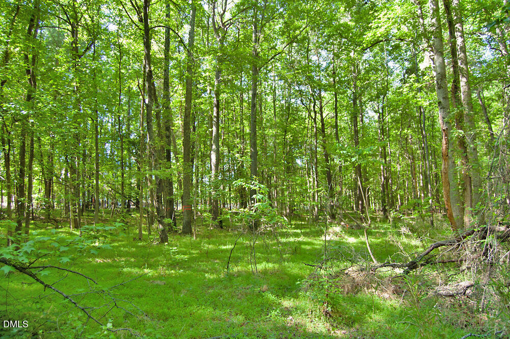 5305 Panther Creek Drive Property Photo 4