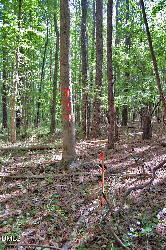 5305 Panther Creek Drive Property Photo 6