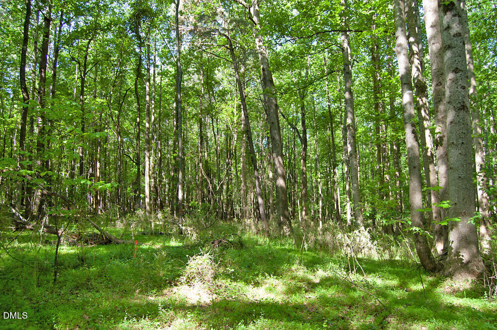 5305 Panther Creek Drive Property Photo 10