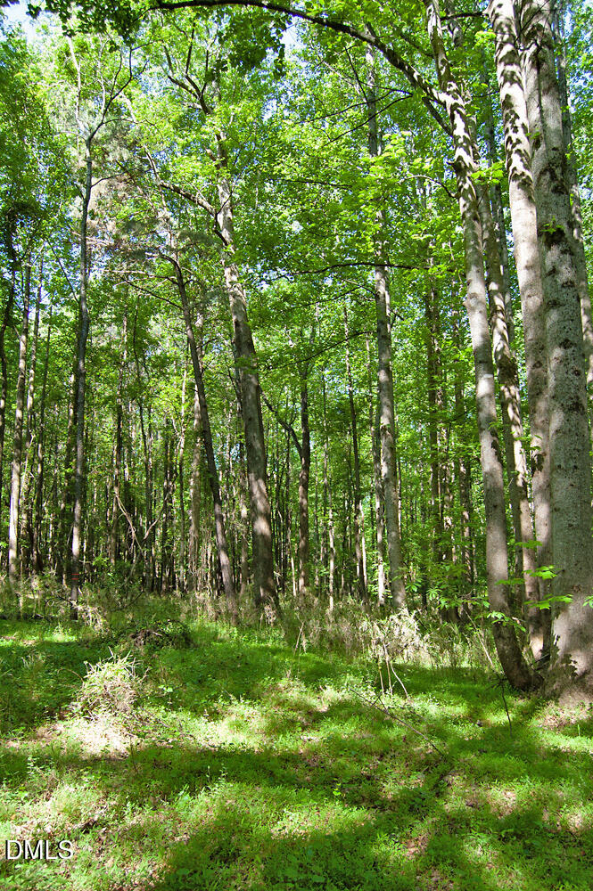 5305 Panther Creek Drive Property Photo 11