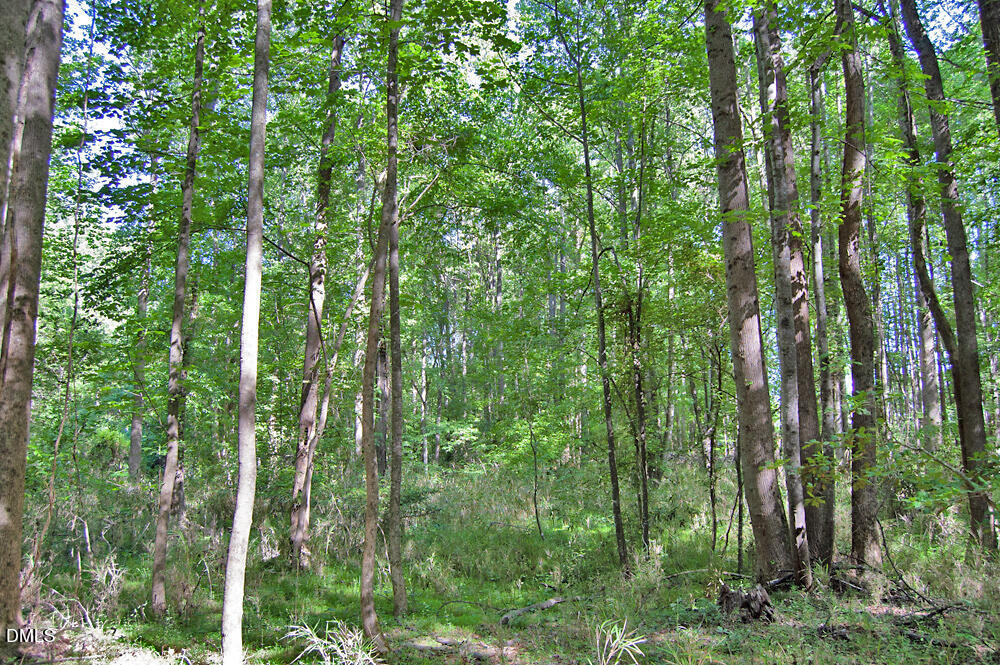 5305 Panther Creek Drive Property Photo 14