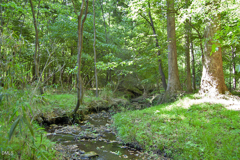 5305 Panther Creek Drive Property Photo 15