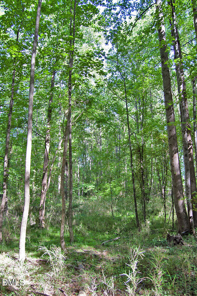 5305 Panther Creek Drive Property Photo 16
