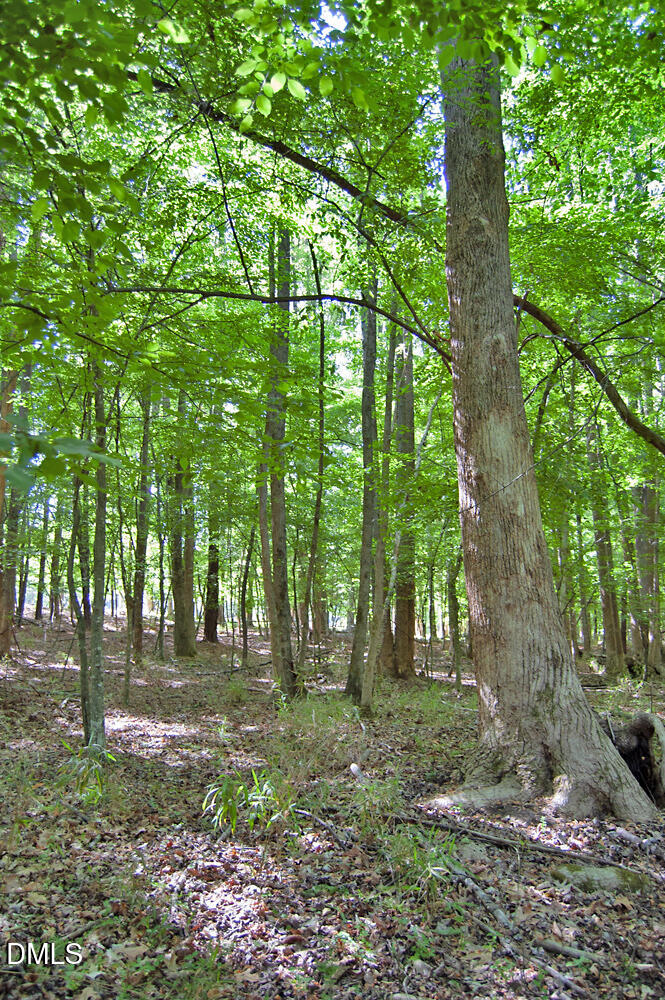 5305 Panther Creek Drive Property Photo 17