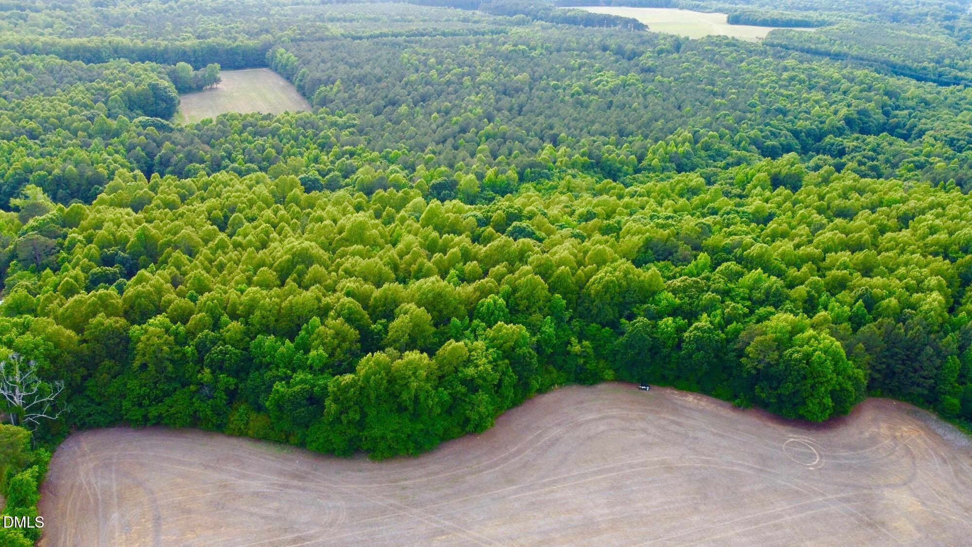 Tr 2 N Carolina 39 Highway Property Photo 3