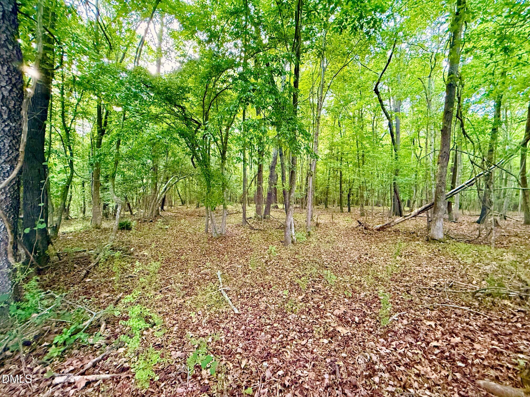 Tr 2 N Carolina 39 Highway Property Photo 6