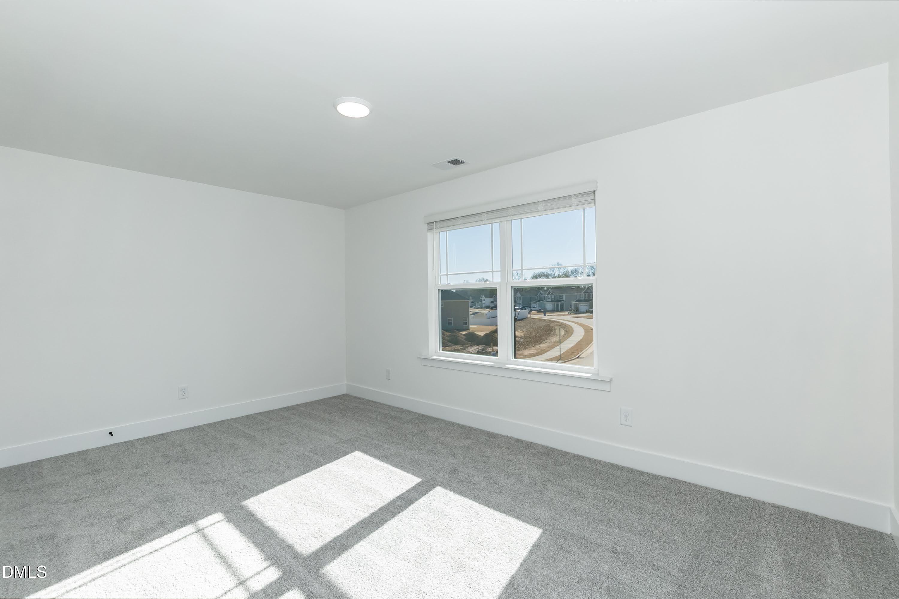 296 Hopewell Branch Court Property Photo 28