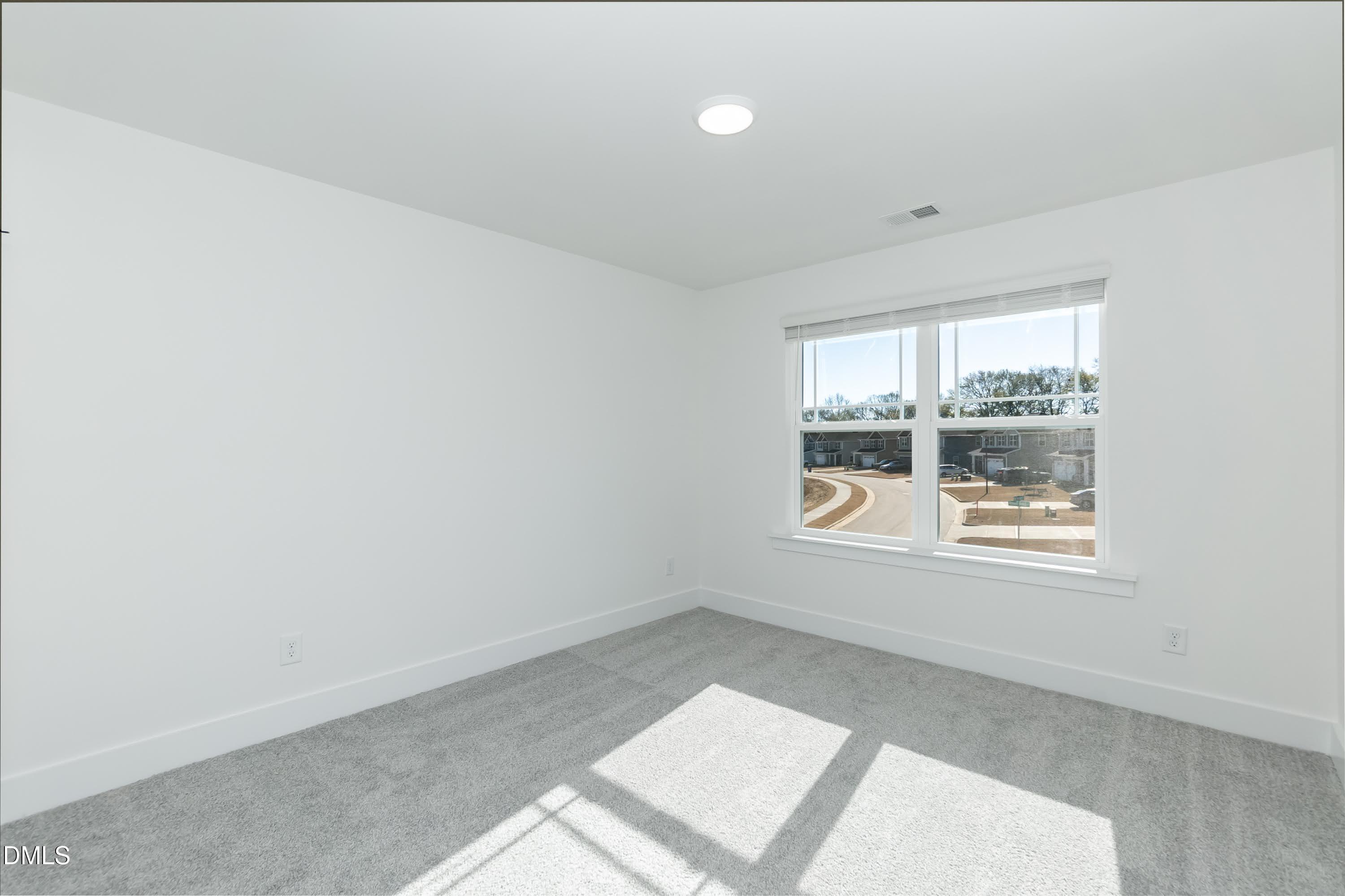 296 Hopewell Branch Court Property Photo 29