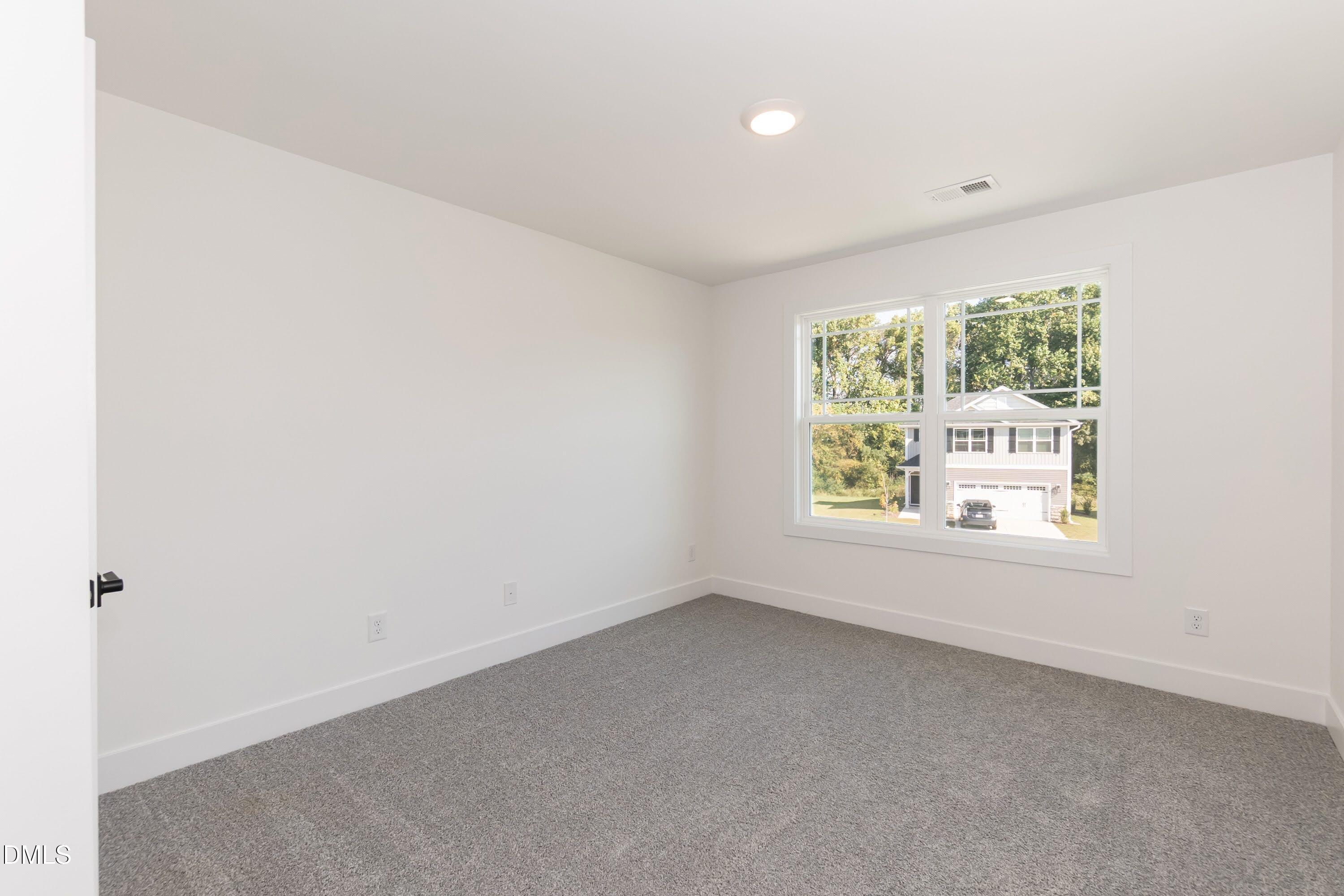 296 Hopewell Branch Court Property Photo 36