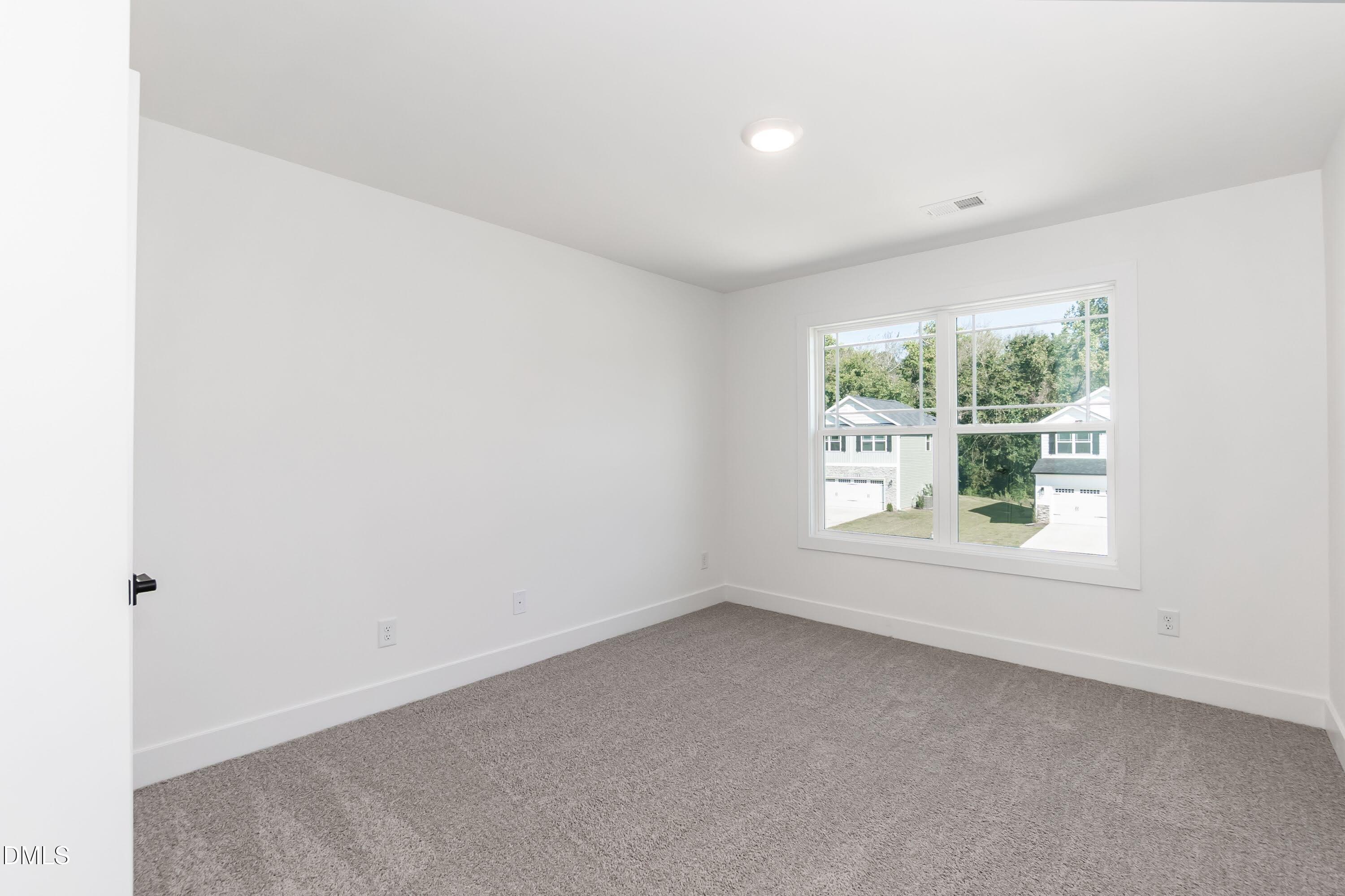 356 Hopewell Branch Court Property Photo 11