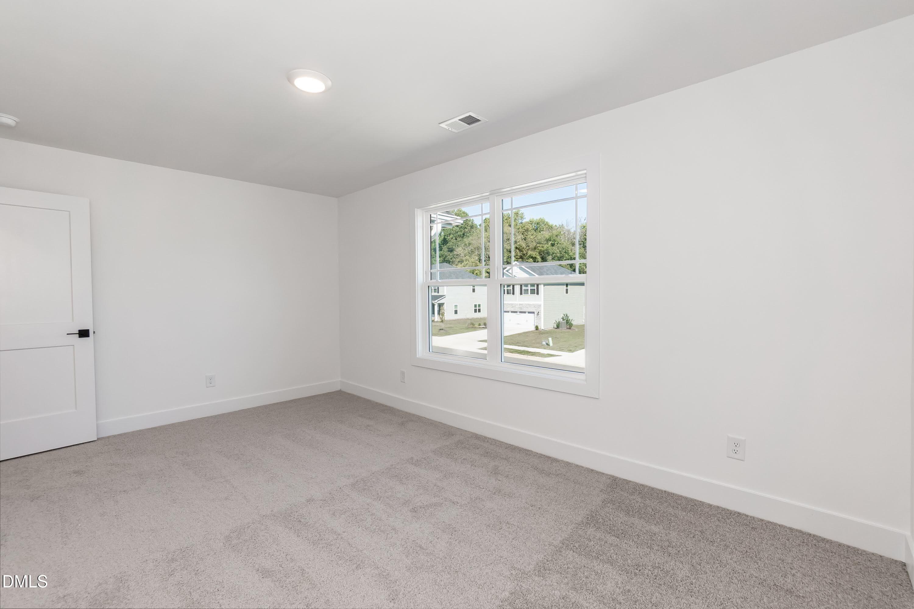 356 Hopewell Branch Court Property Photo 12