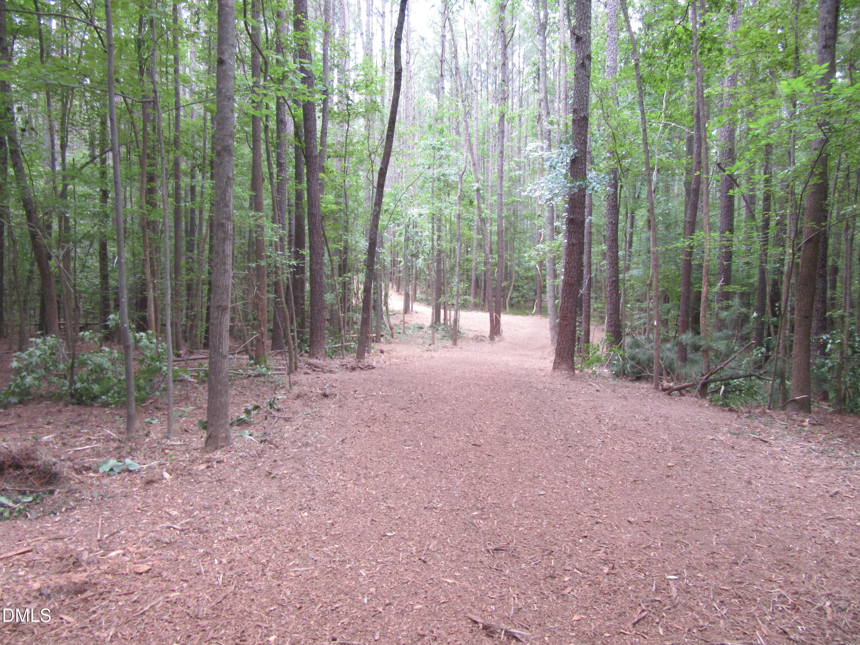 9.97 Acres S Hwy 39 Property Photo 12