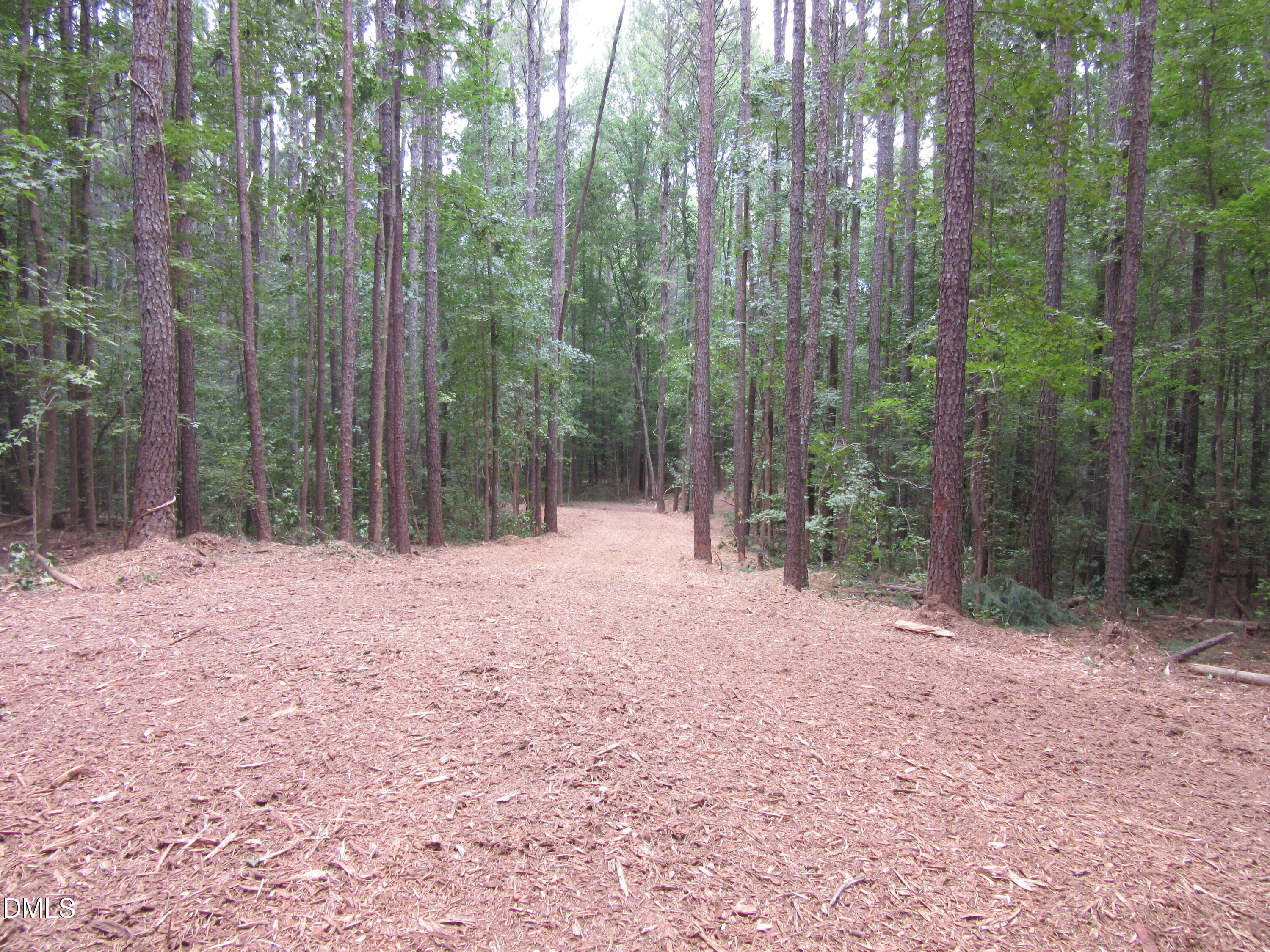 9.97 Acres S Hwy 39 Property Photo 13