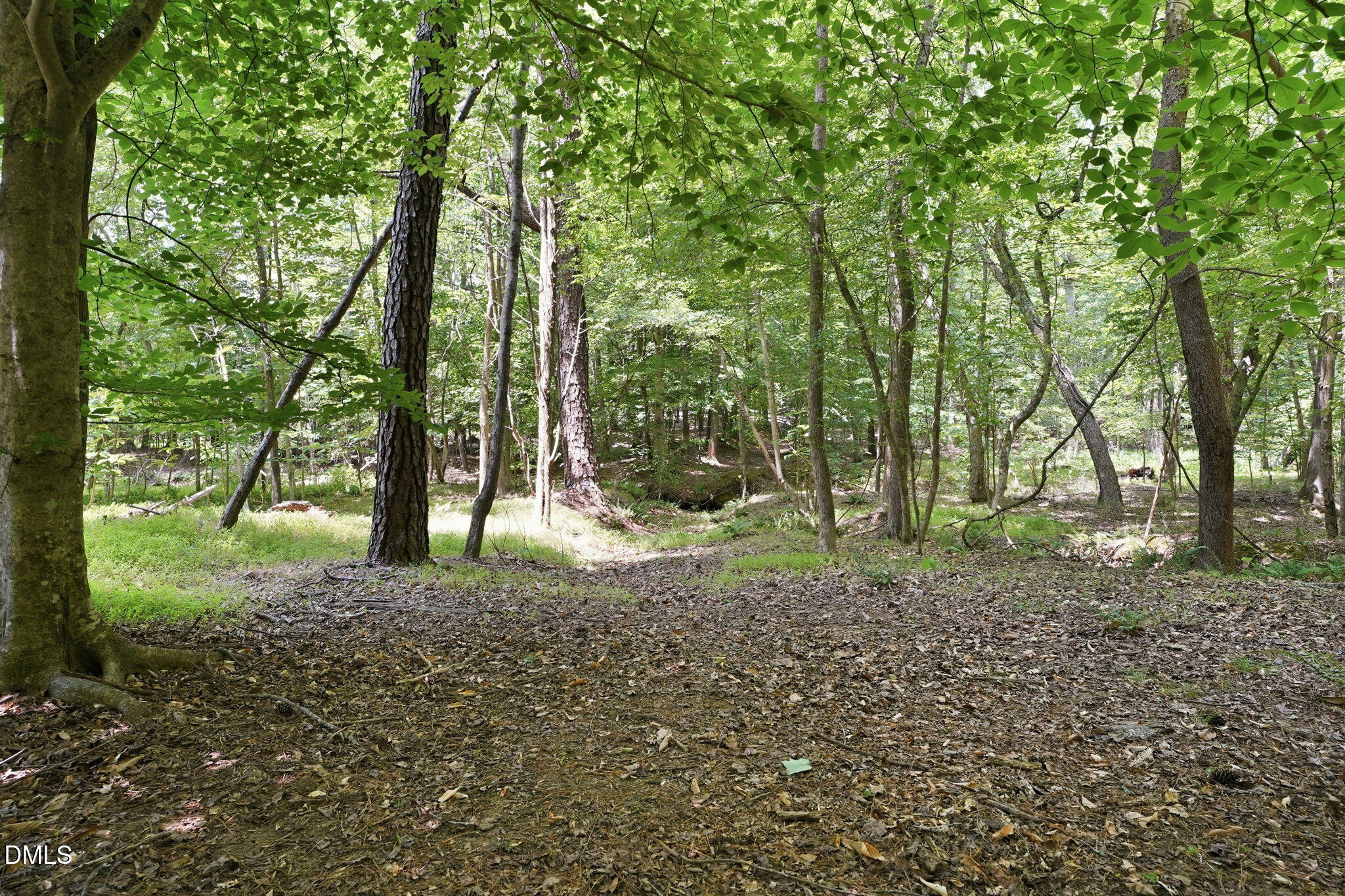 1001 Browning Place Property Photo 56