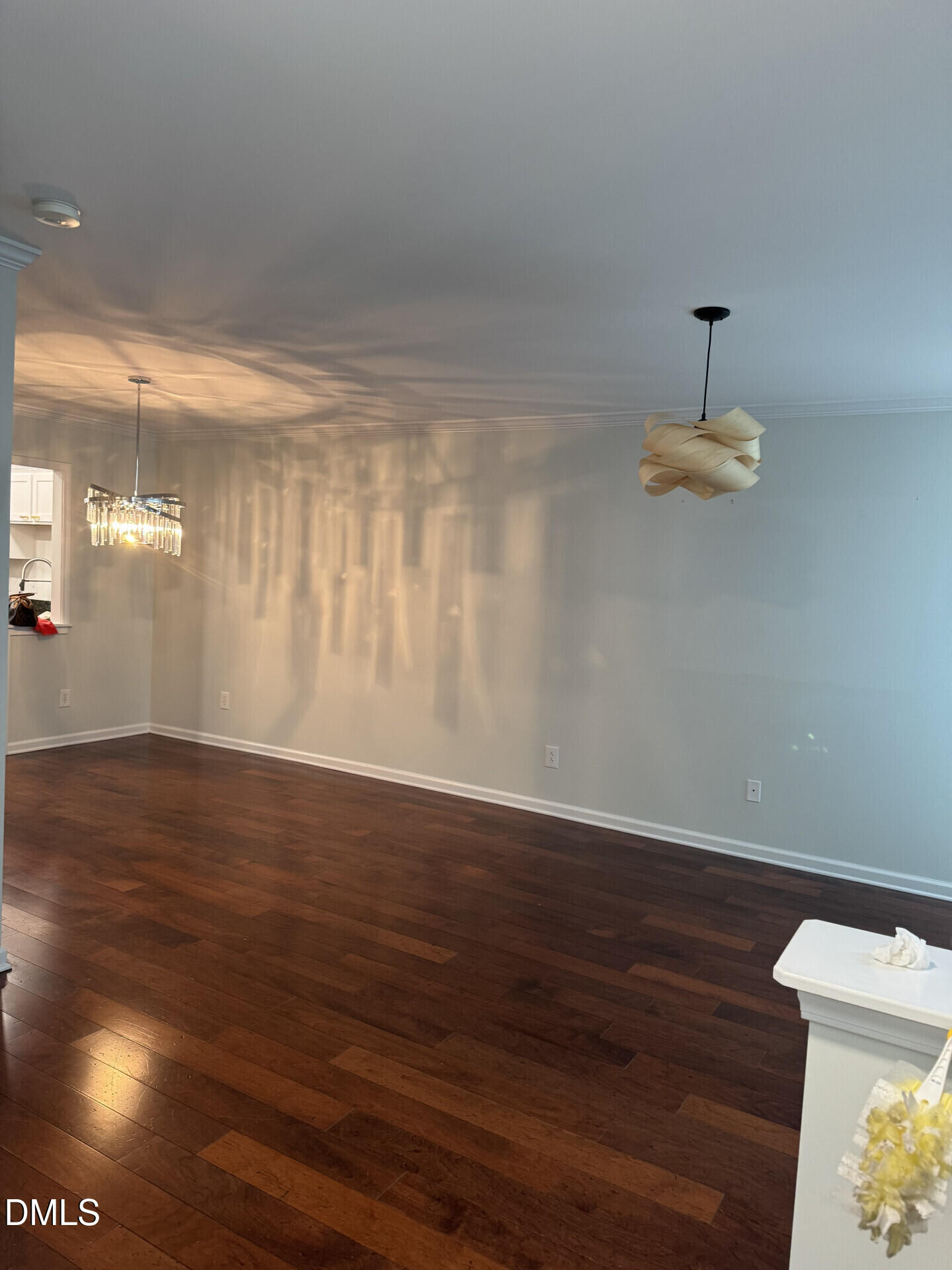 9816 Cicero Drive Property Photo 4