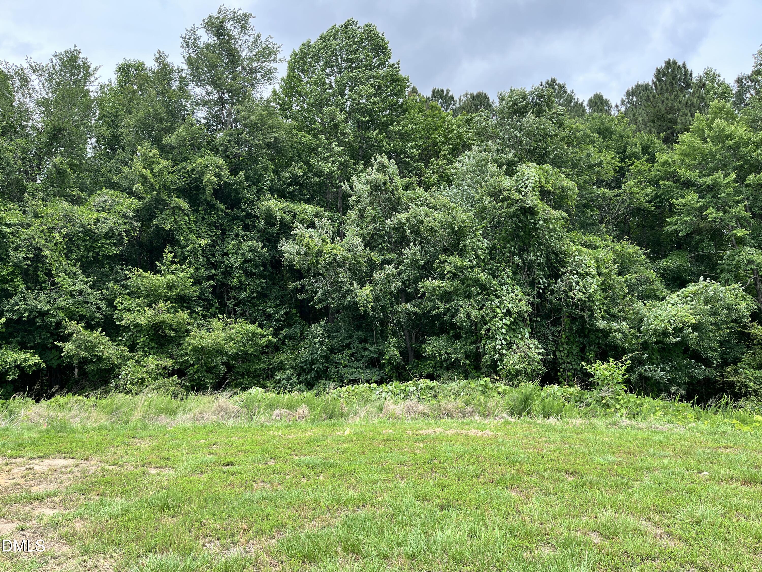 845 Lunar Light Drive Property Photo 3