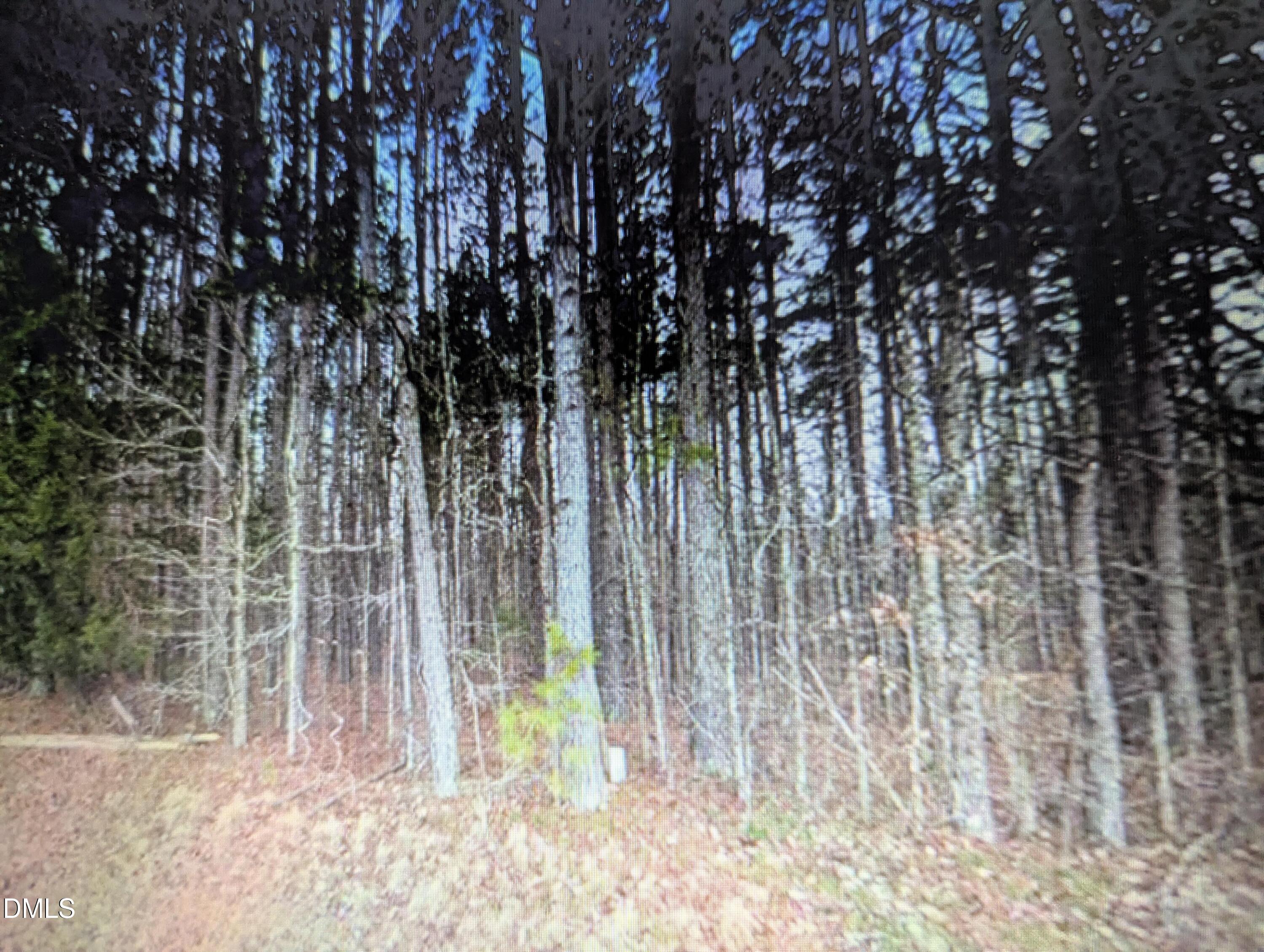 0 Pool Rock Property Photo 1