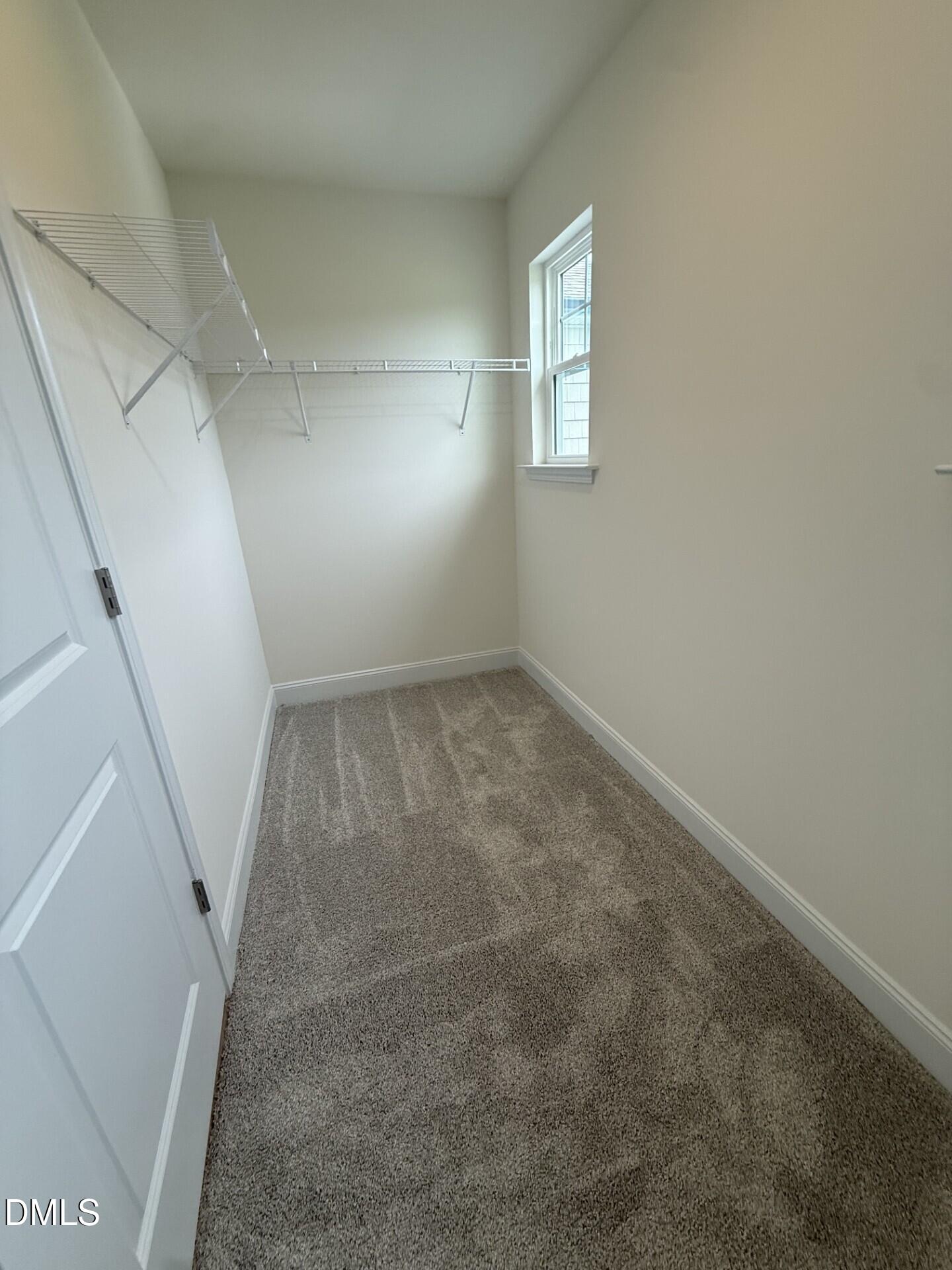 308 Juniper Branch Trail Property Photo 21