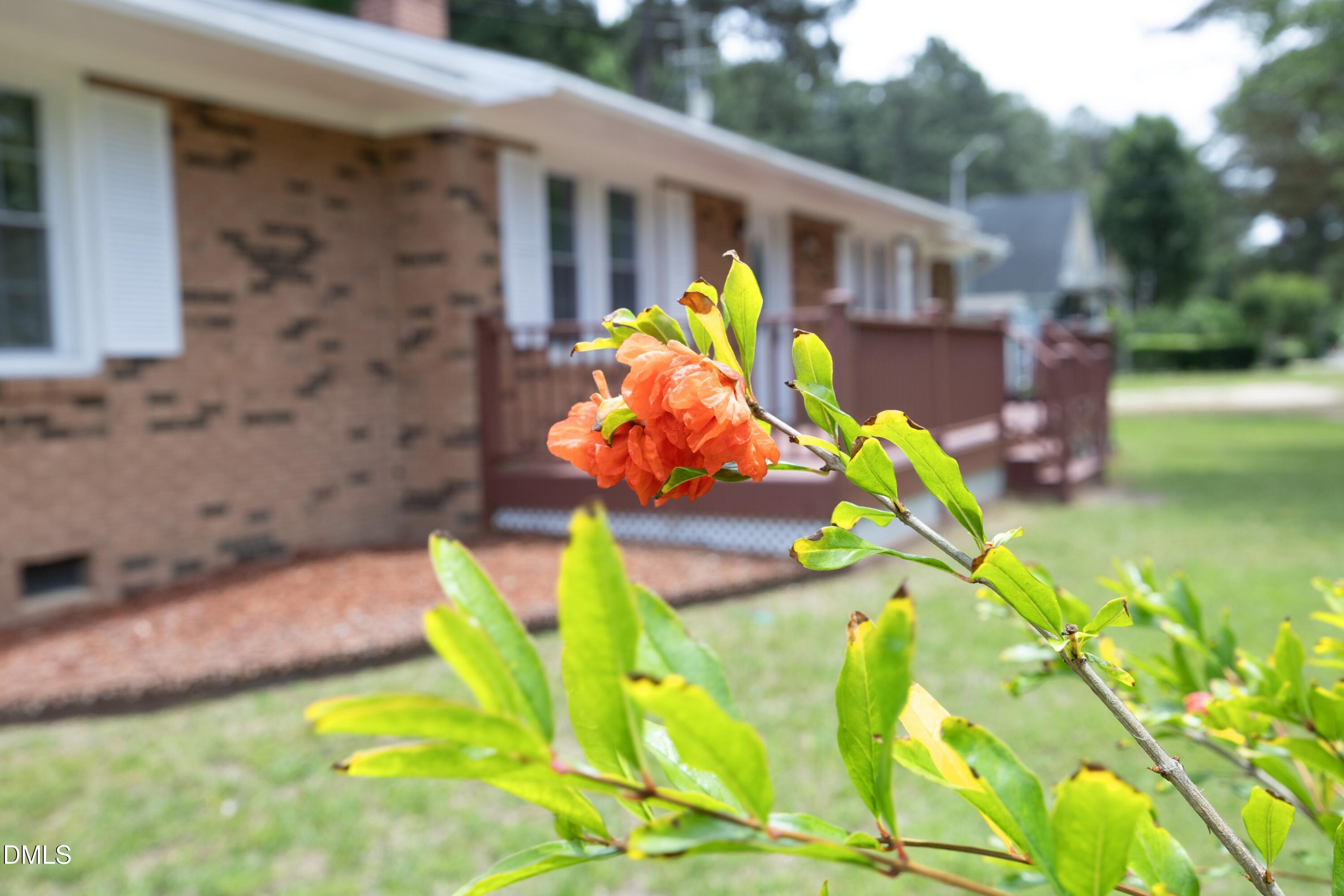 3128 Pleasant Grove Church Road Property Photo 3