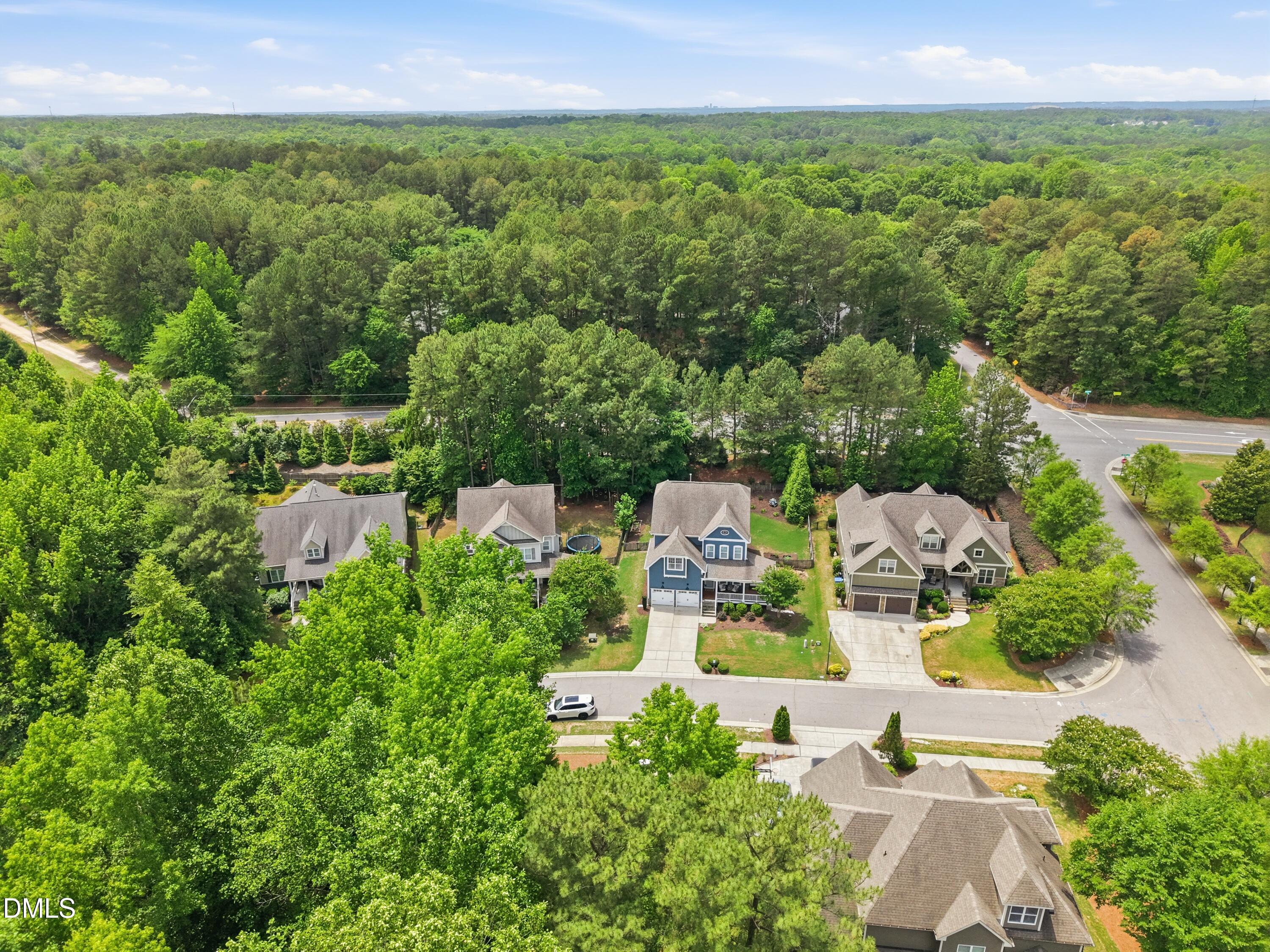 3127 Freeman Farm Way Property Photo 44