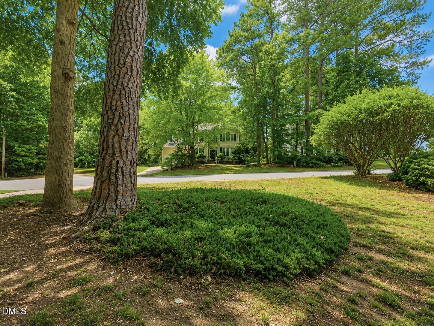 1003 Inglenook Place Property Photo 5